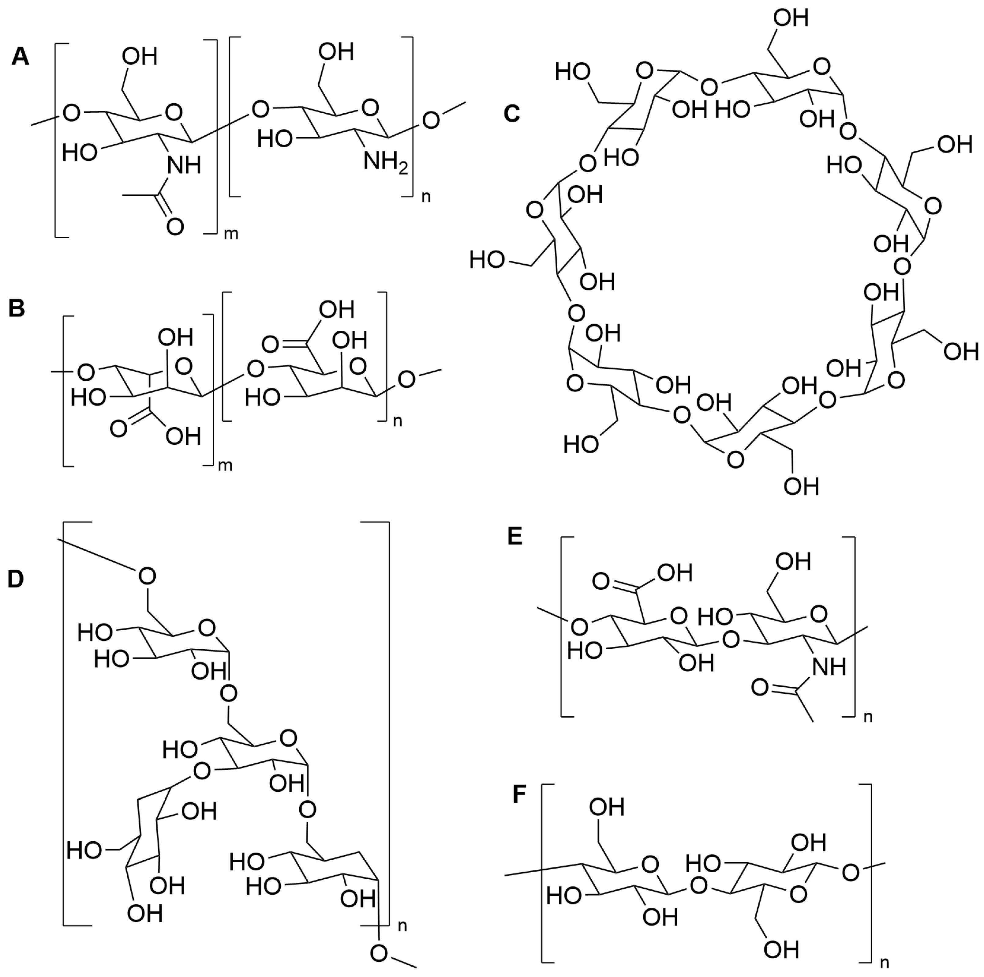 Pharmaceuticals 17 01628 g005