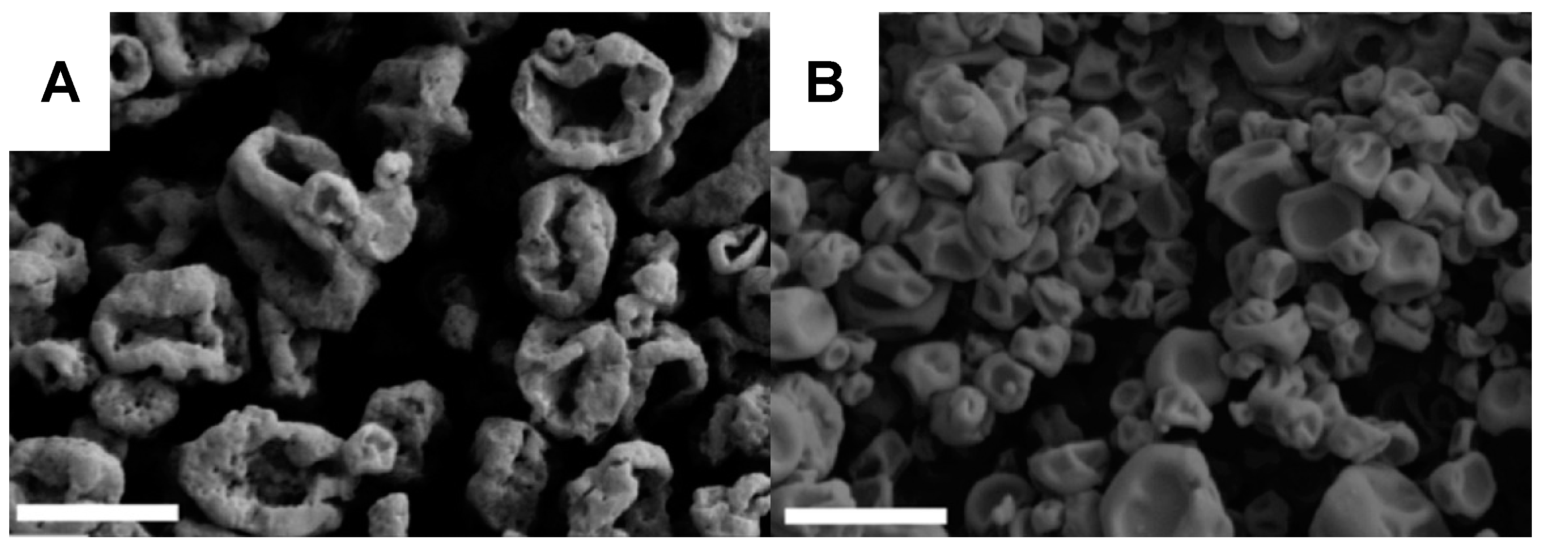 Pharmaceuticals 17 01628 g006