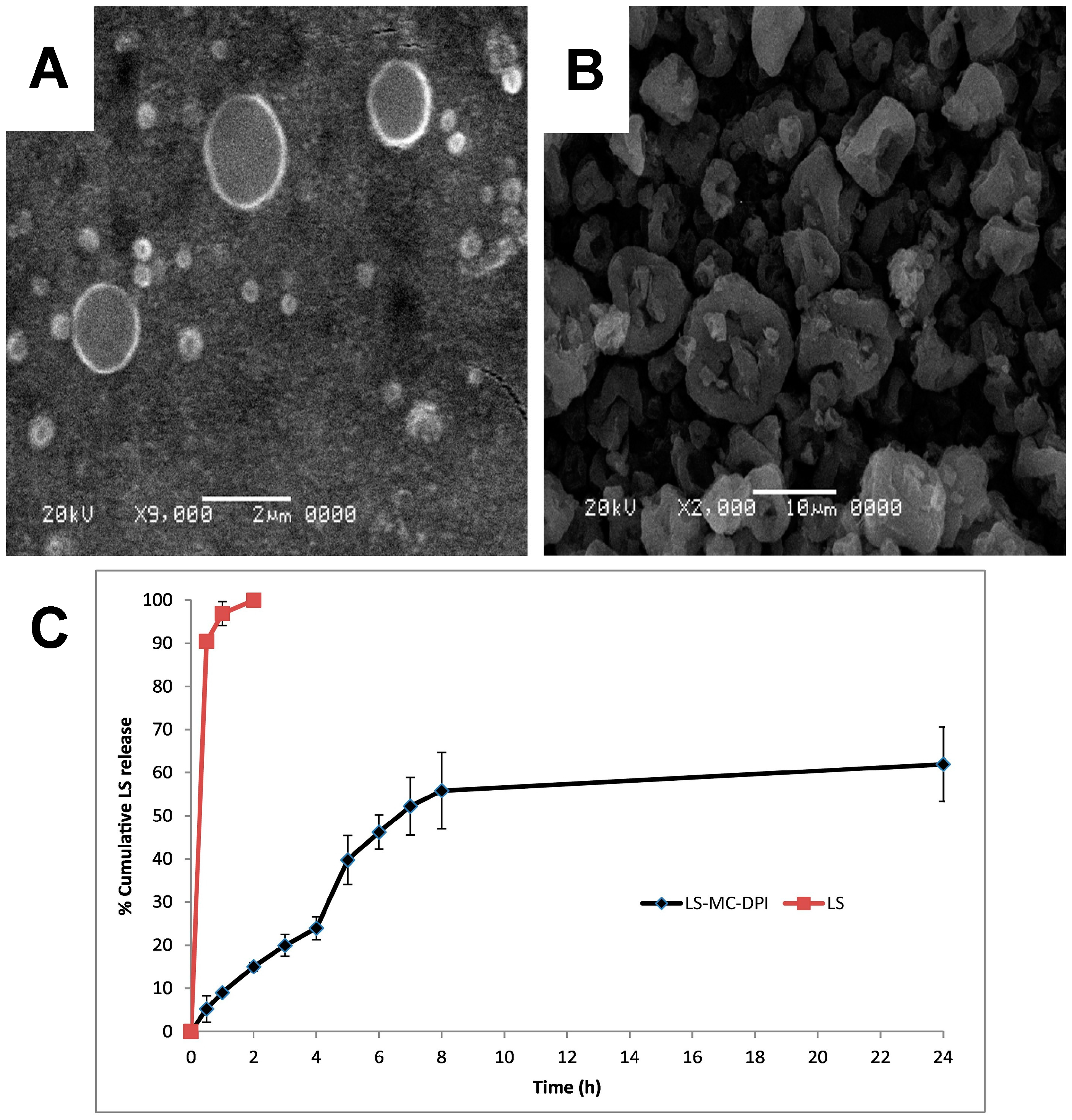 Pharmaceuticals 17 01628 g007
