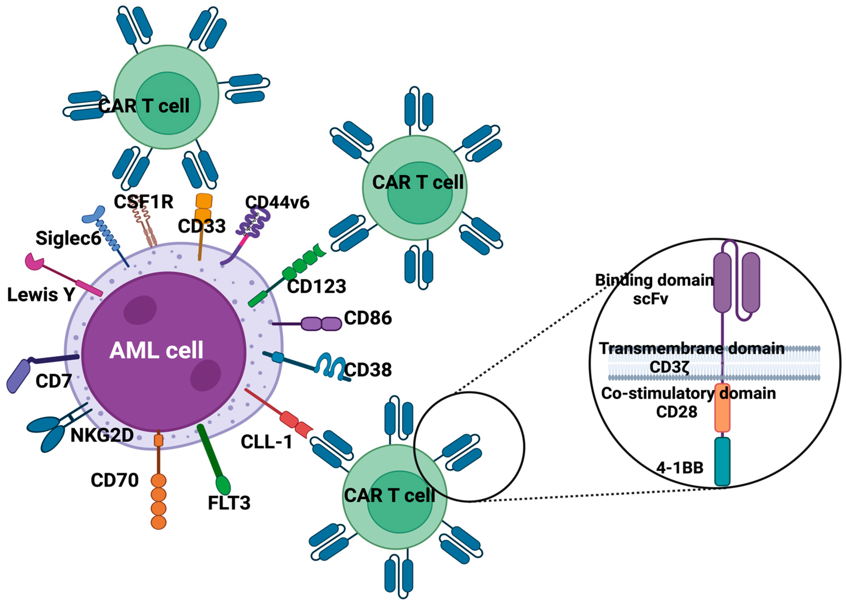 Molecular and cellular insights into T cell exhaustion