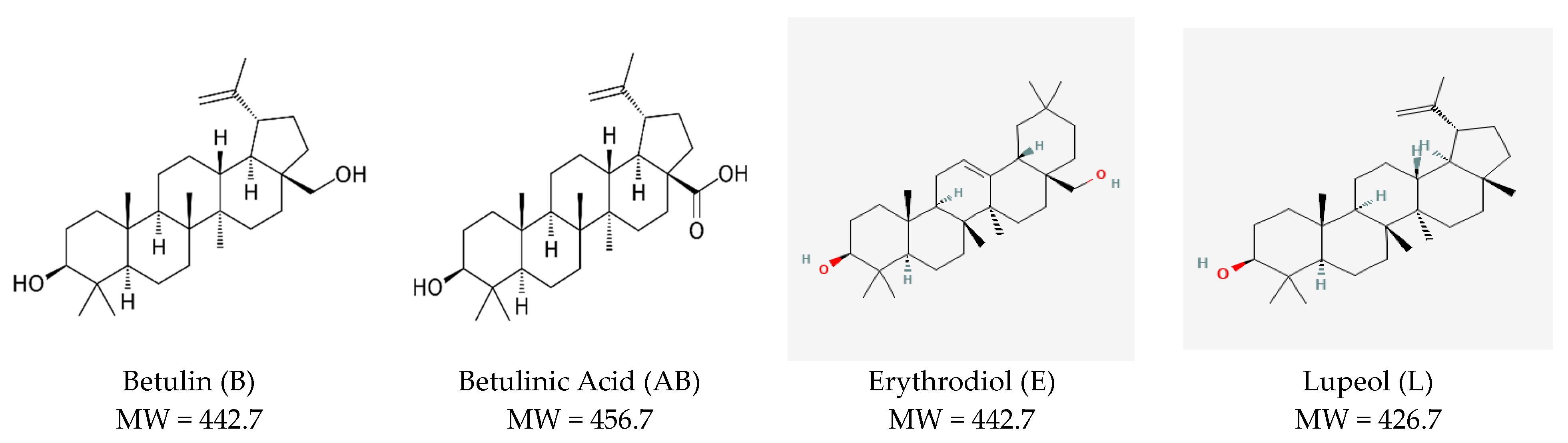 Pharmaceuticals 17 01630 g001
