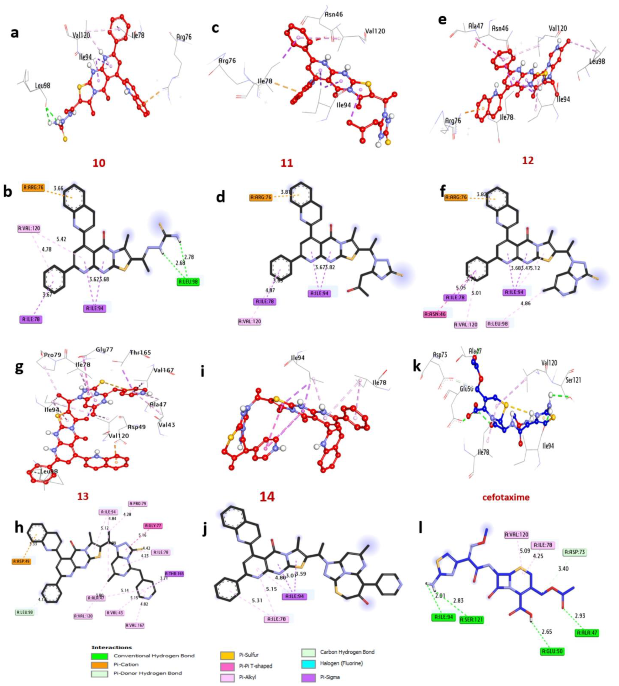 Pharmaceuticals 17 01632 g004