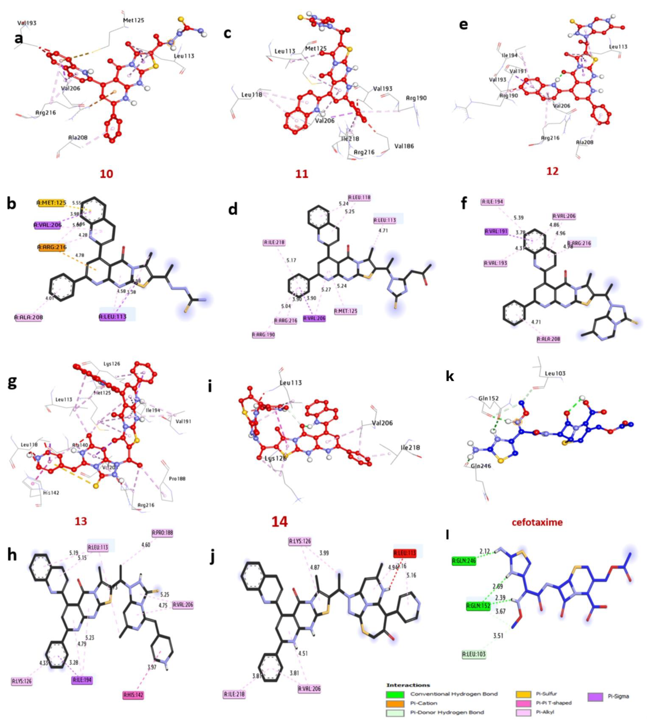 Pharmaceuticals 17 01632 g005