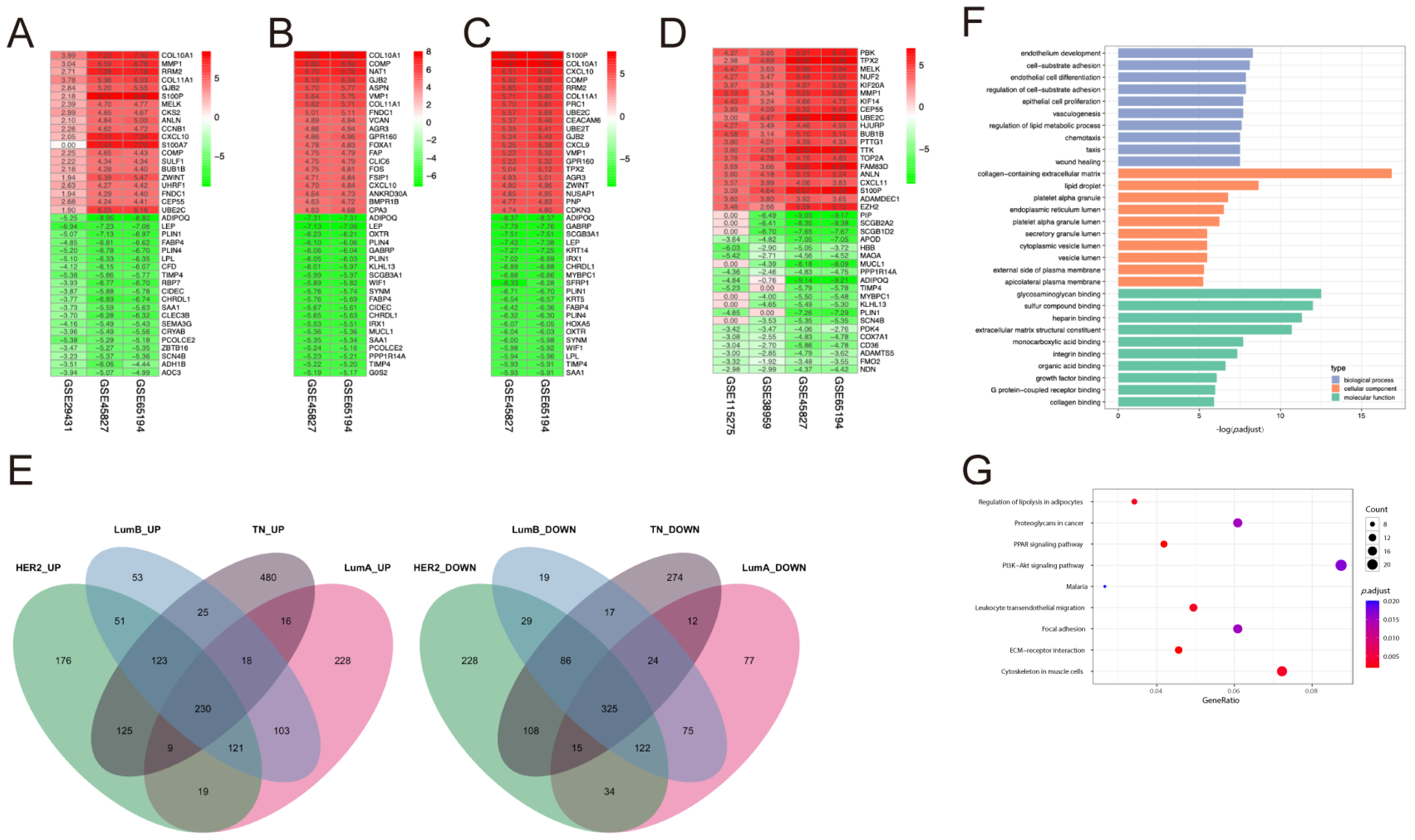 Pharmaceuticals 17 01636 g001