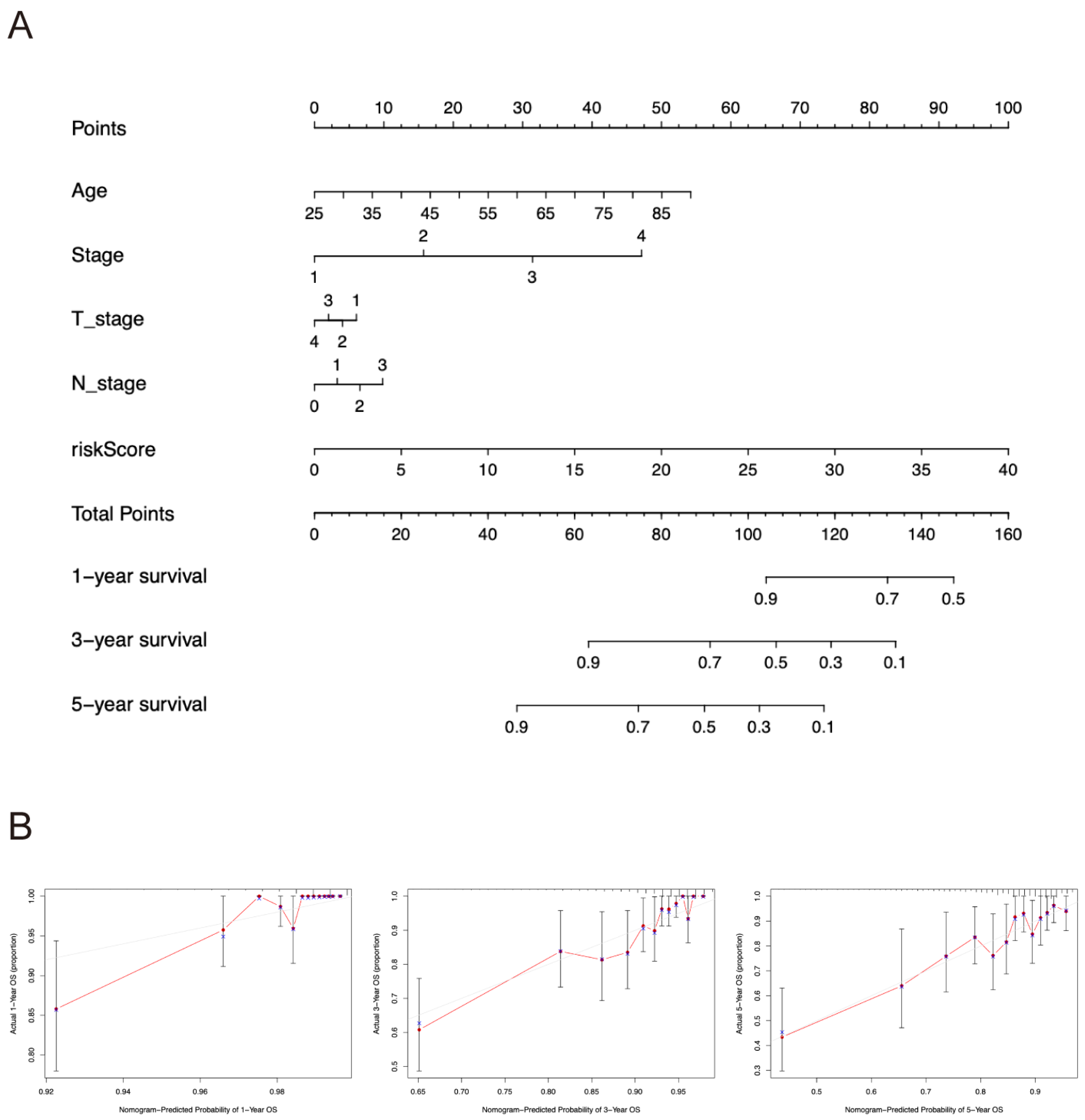 Pharmaceuticals 17 01636 g004