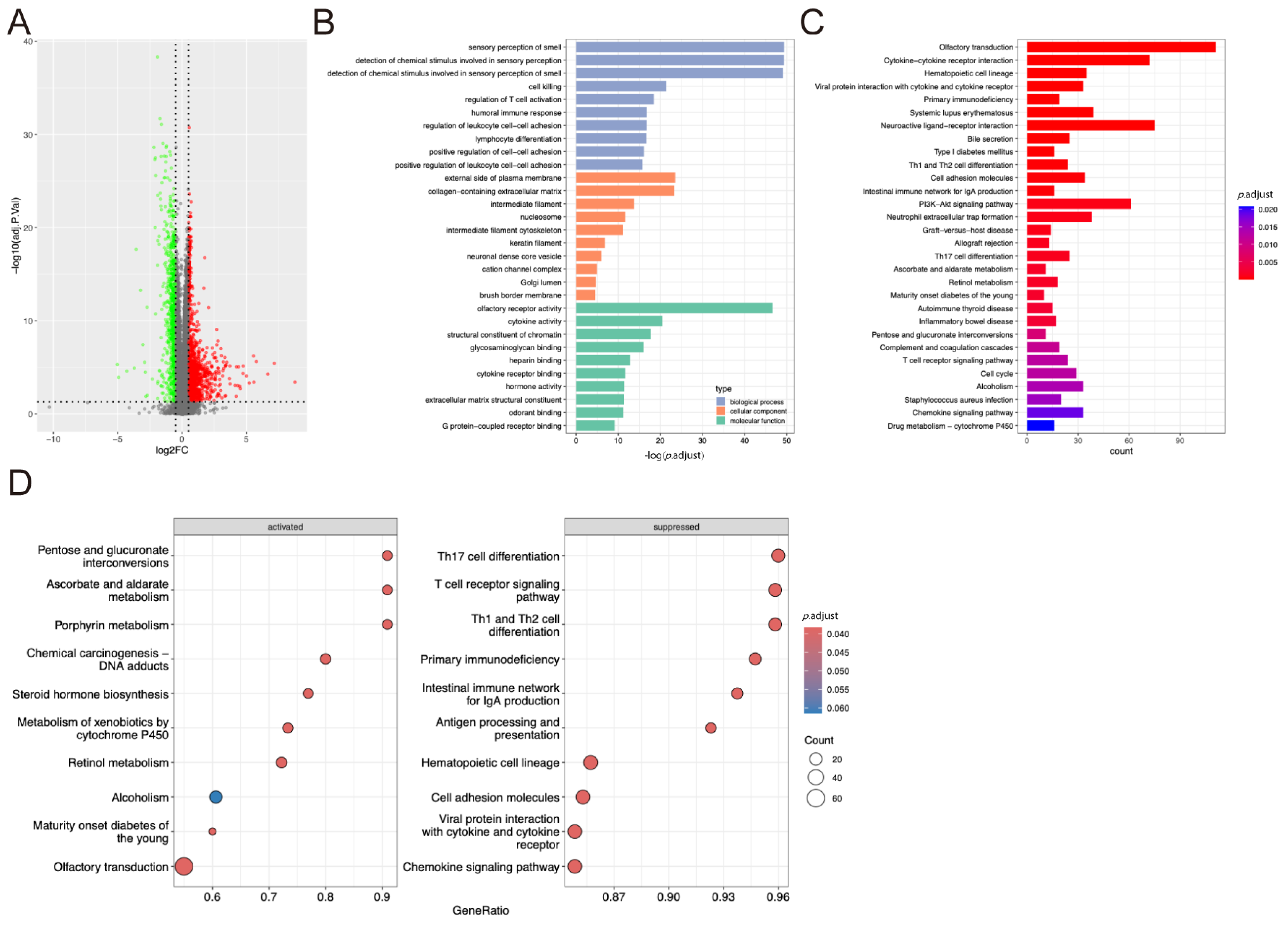 Pharmaceuticals 17 01636 g005