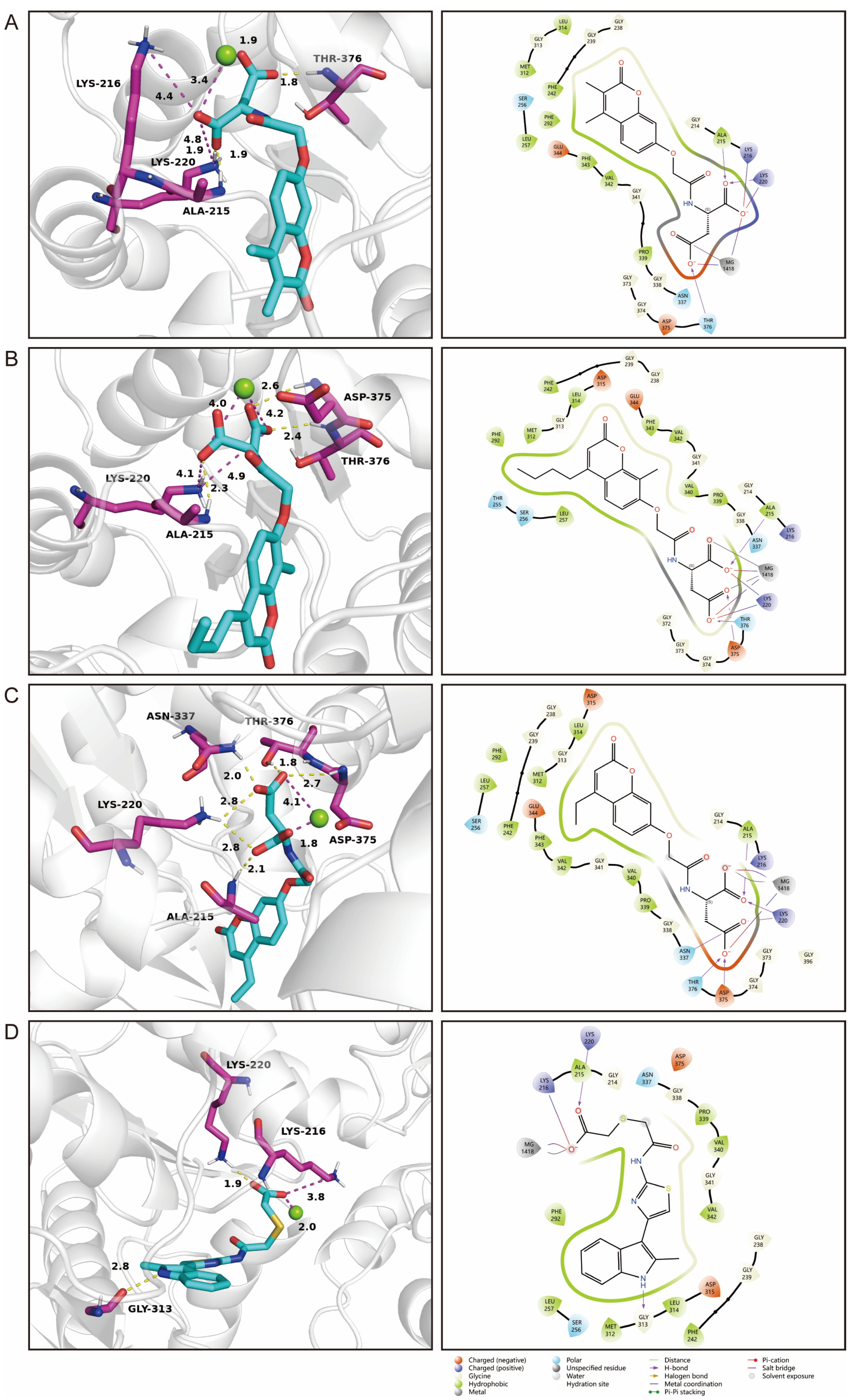 Pharmaceuticals 17 01636 g007