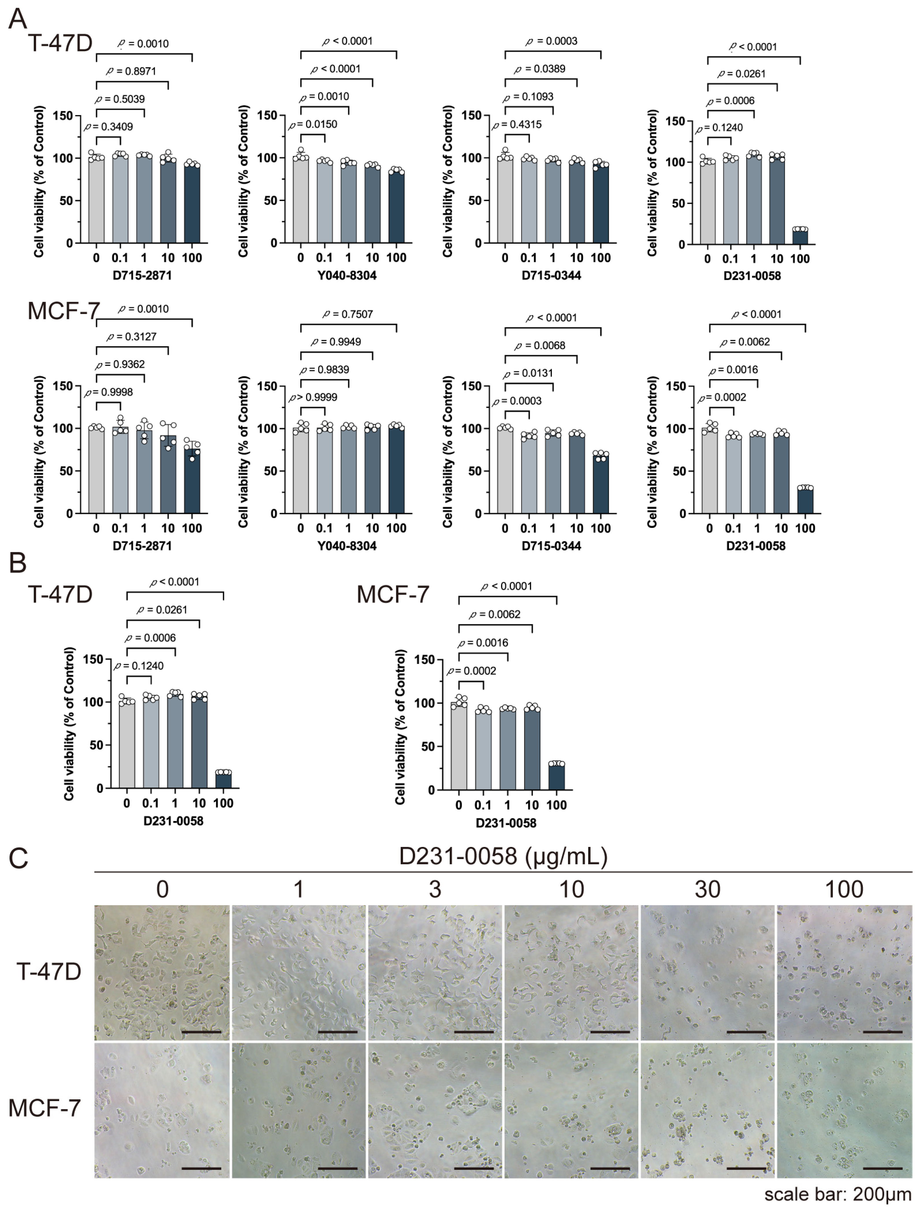 Pharmaceuticals 17 01636 g008
