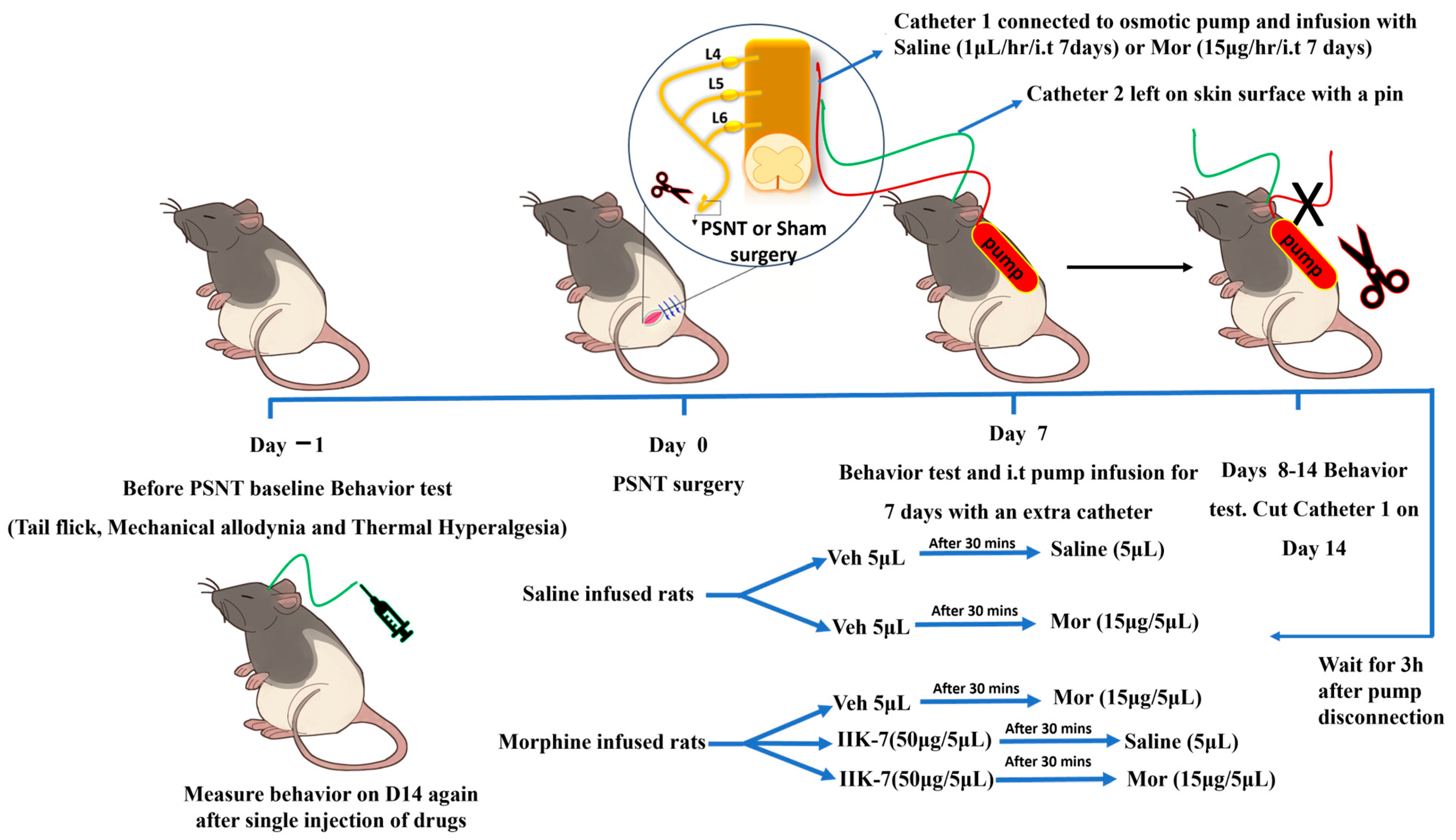 Pharmaceuticals 17 01638 g006