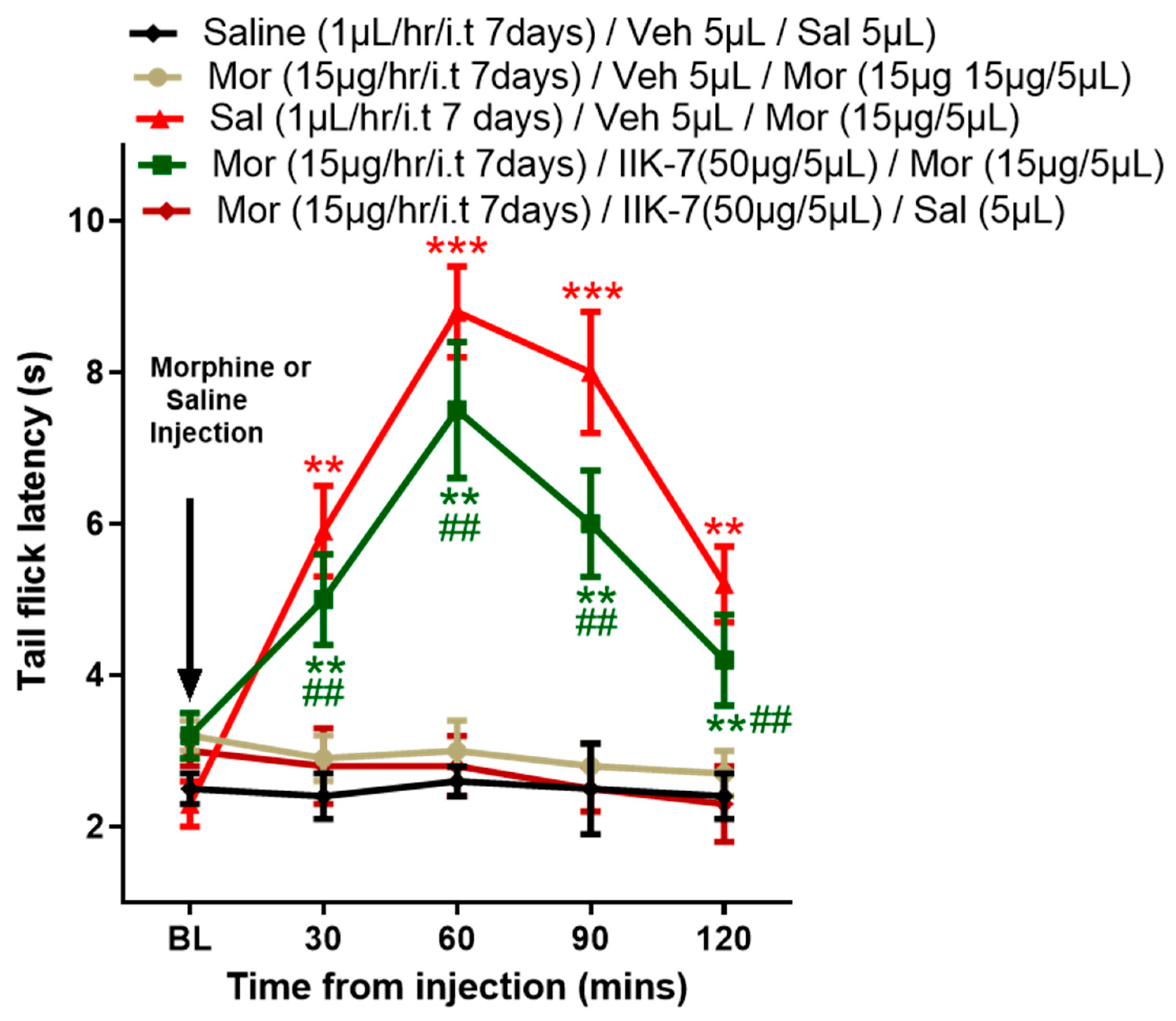 Pharmaceuticals 17 01638 g007