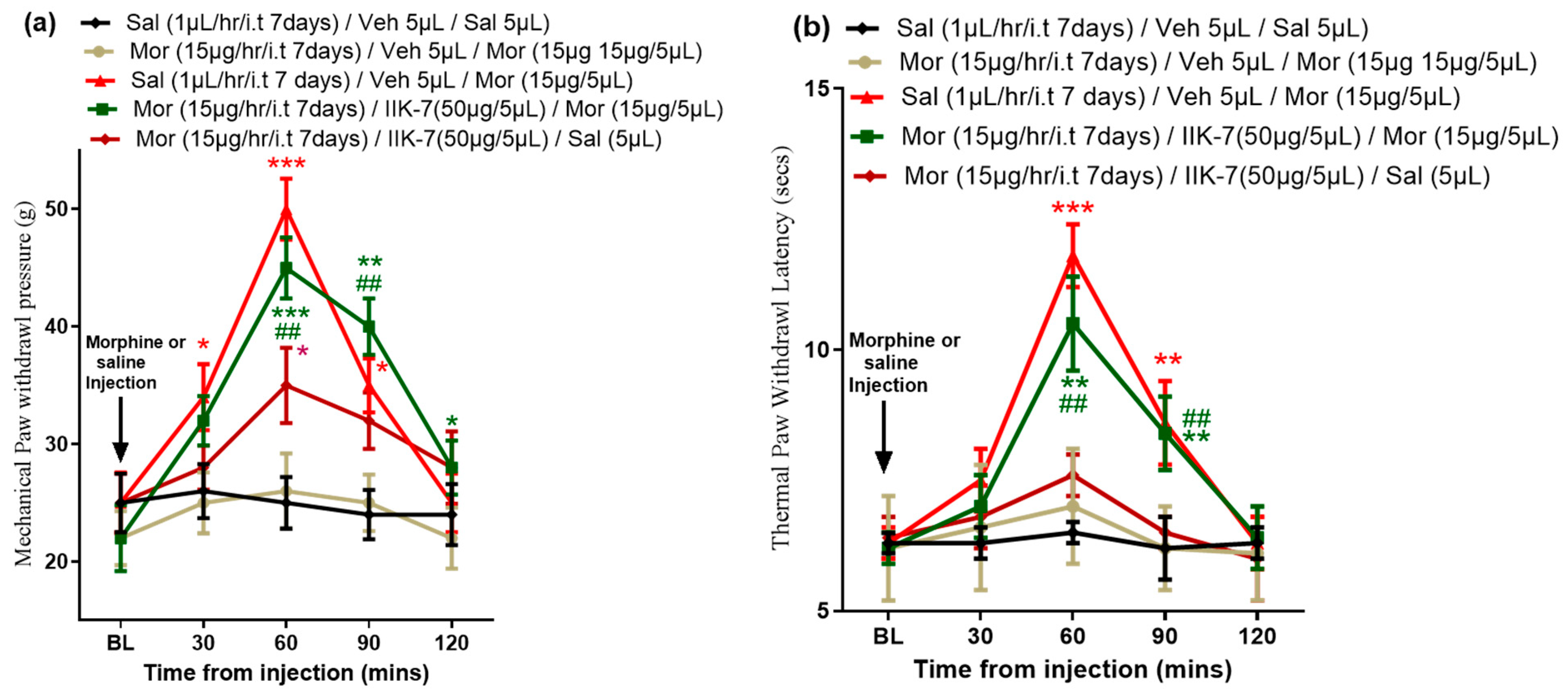 Pharmaceuticals 17 01638 g008