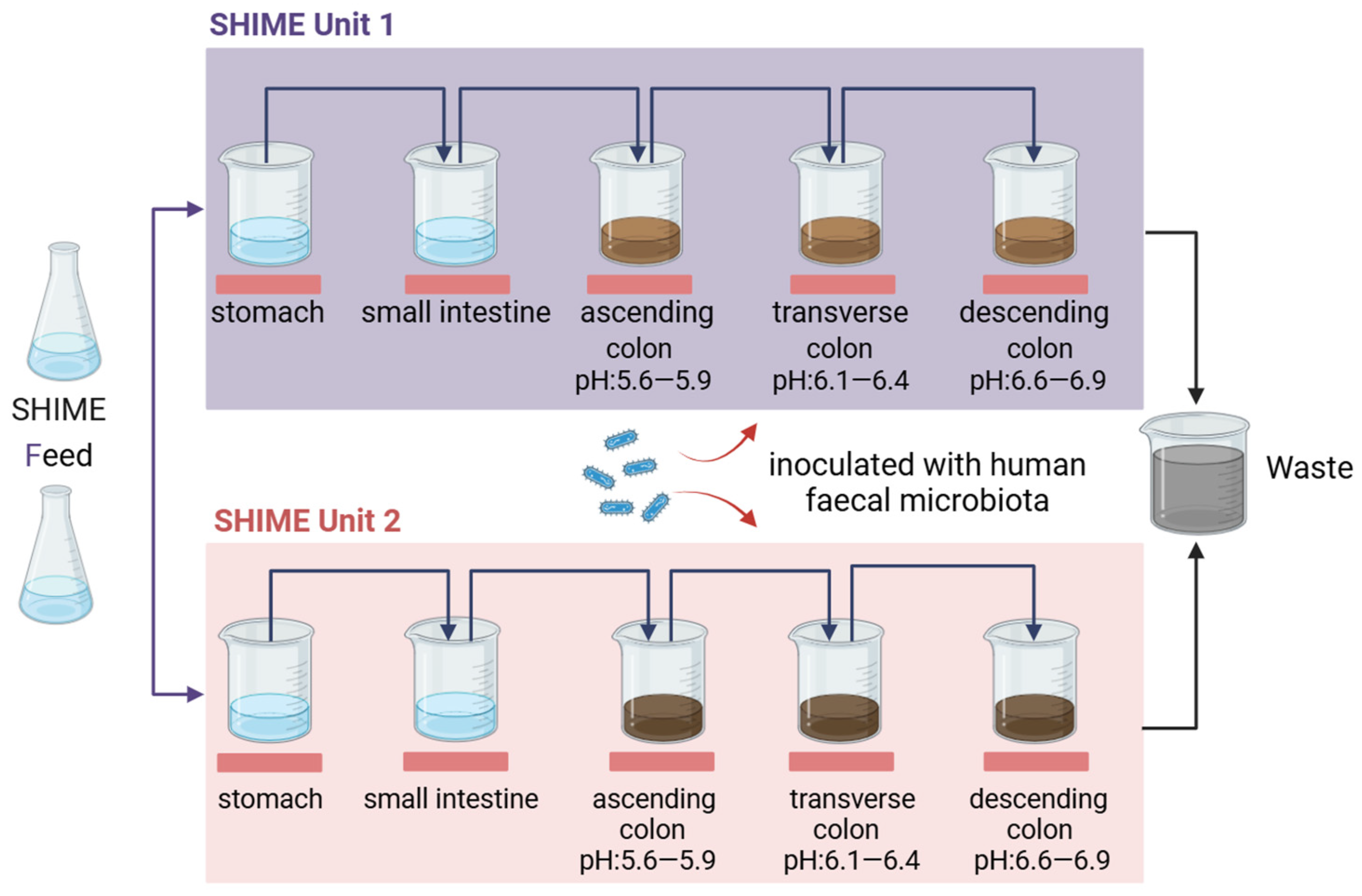 Pharmaceuticals 17 01639 g002