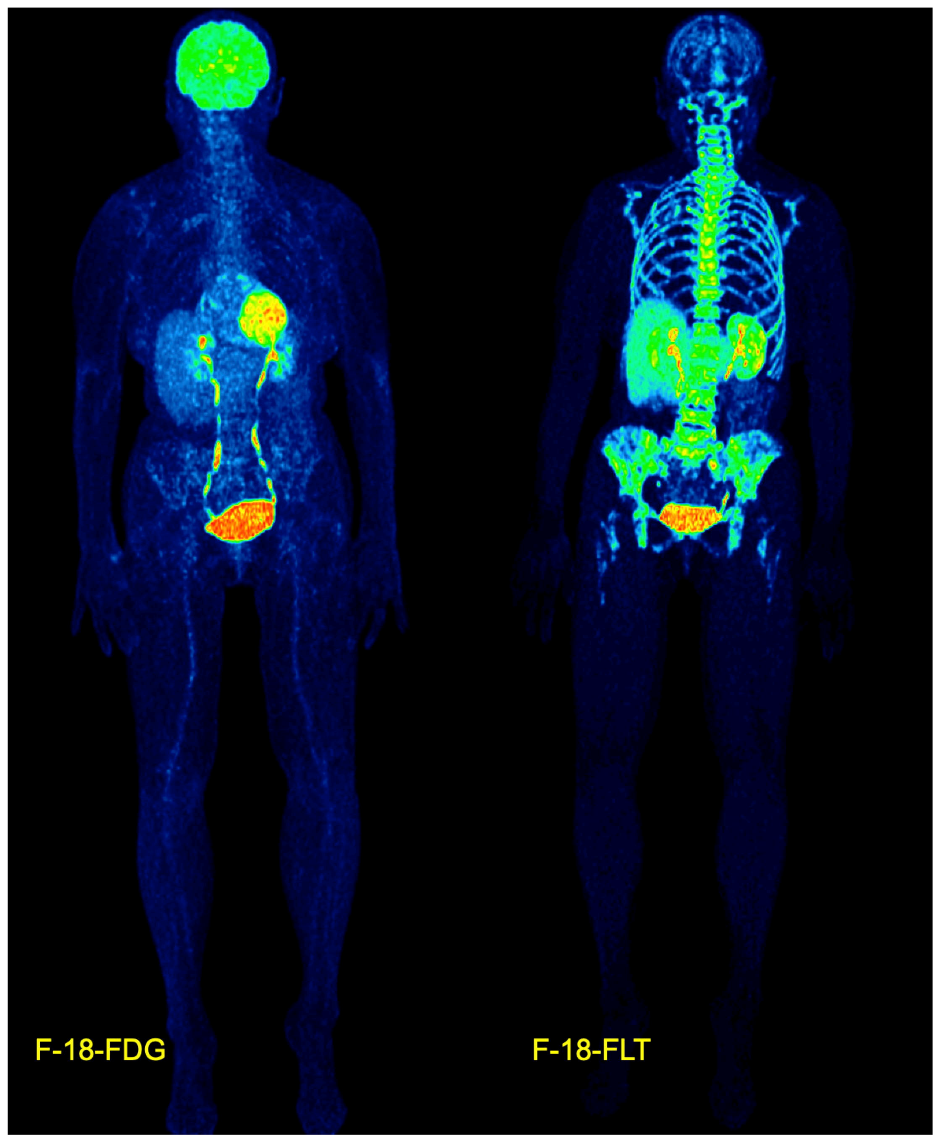 Pharmaceuticals 17 01641 g001