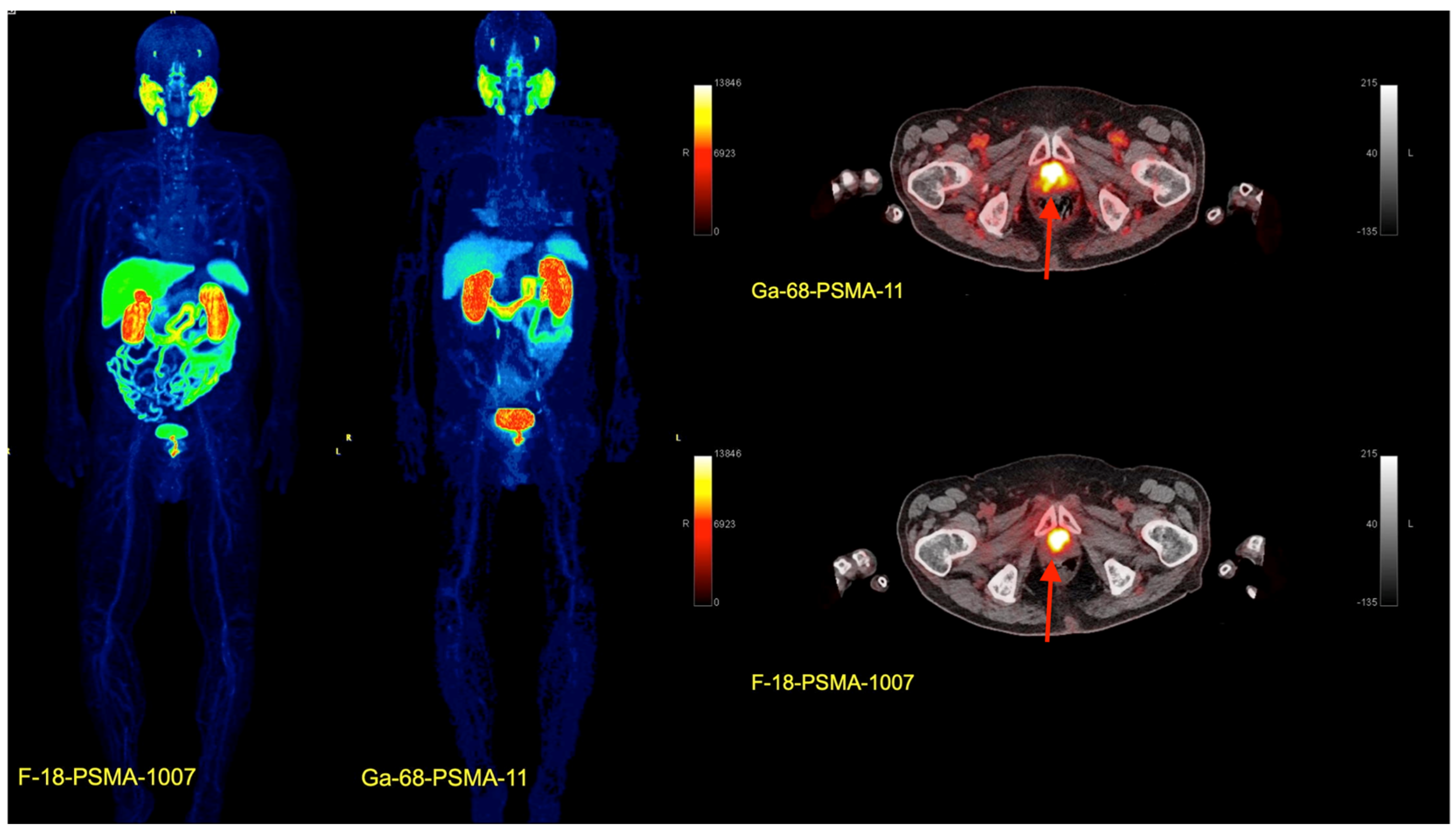 Pharmaceuticals 17 01641 g002