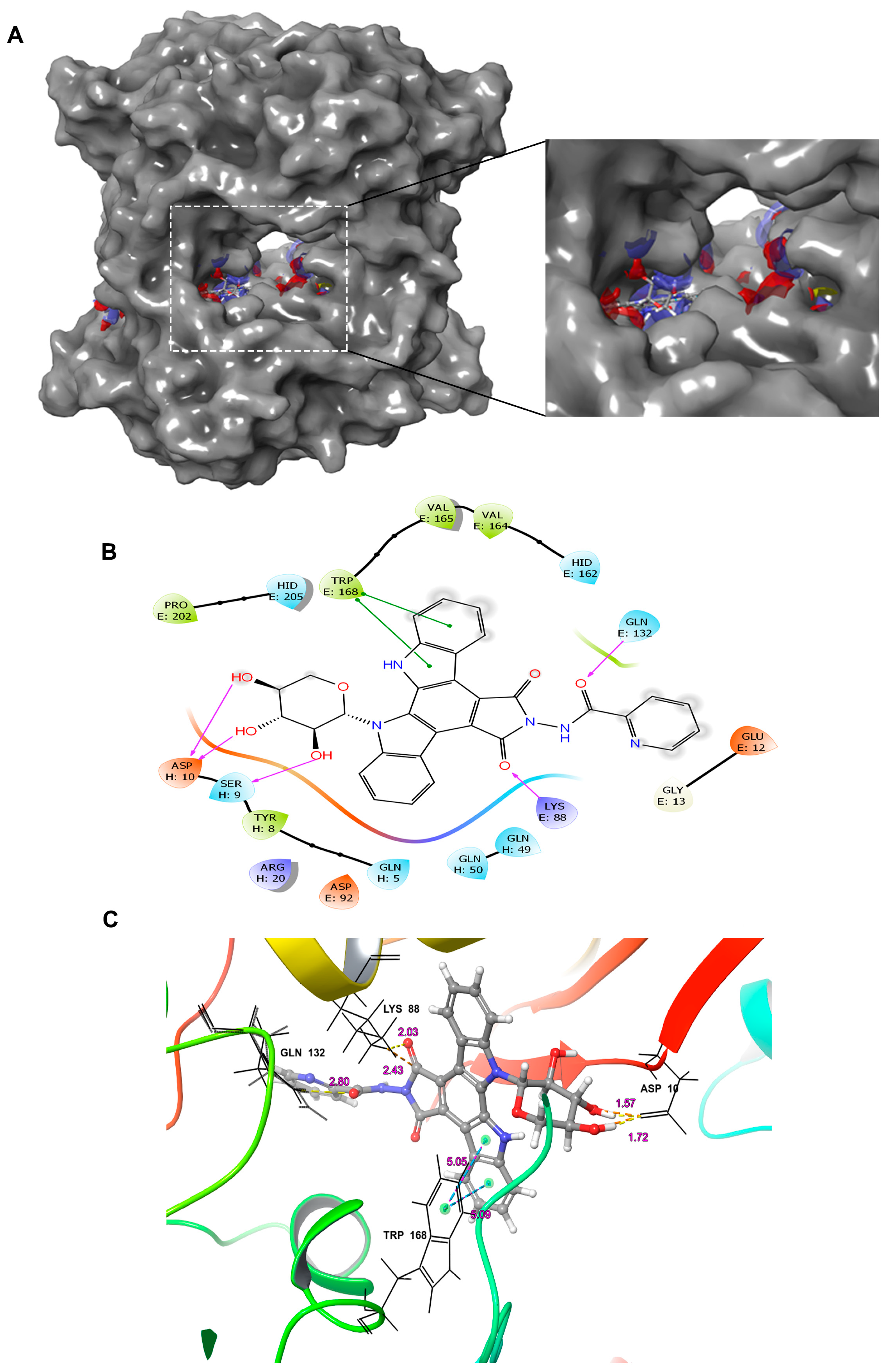 Pharmaceuticals 17 01642 g007 Pharmaceuticals 17 01642 g007