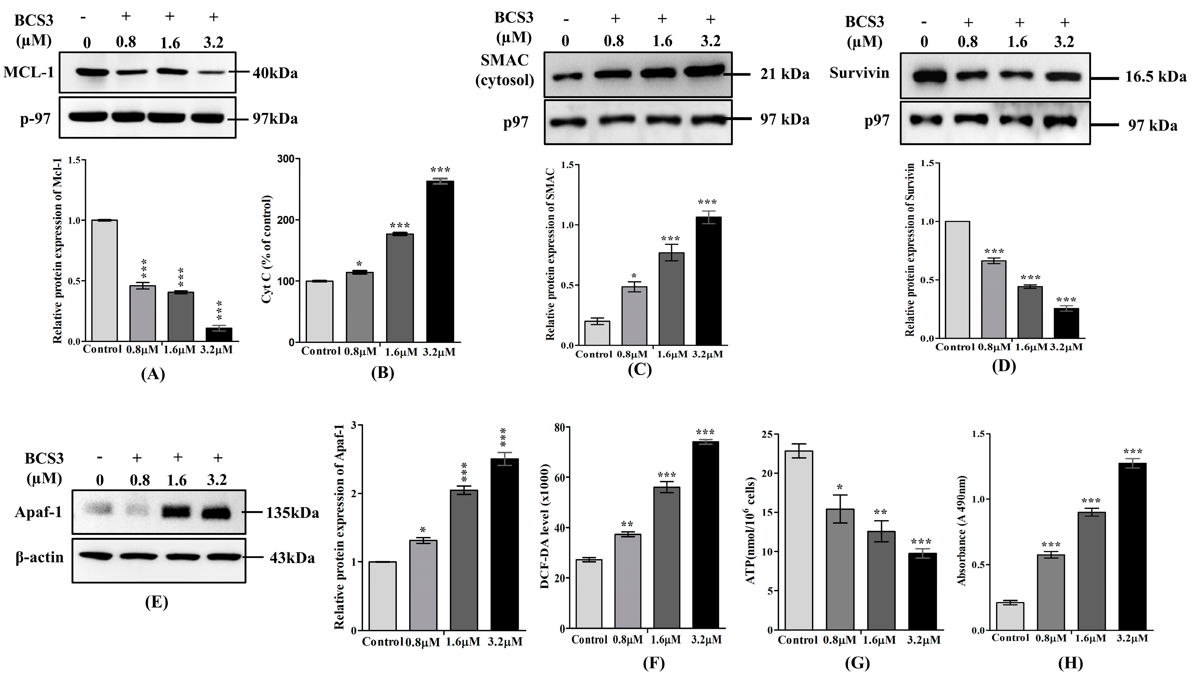 Pharmaceuticals 17 01645 g003