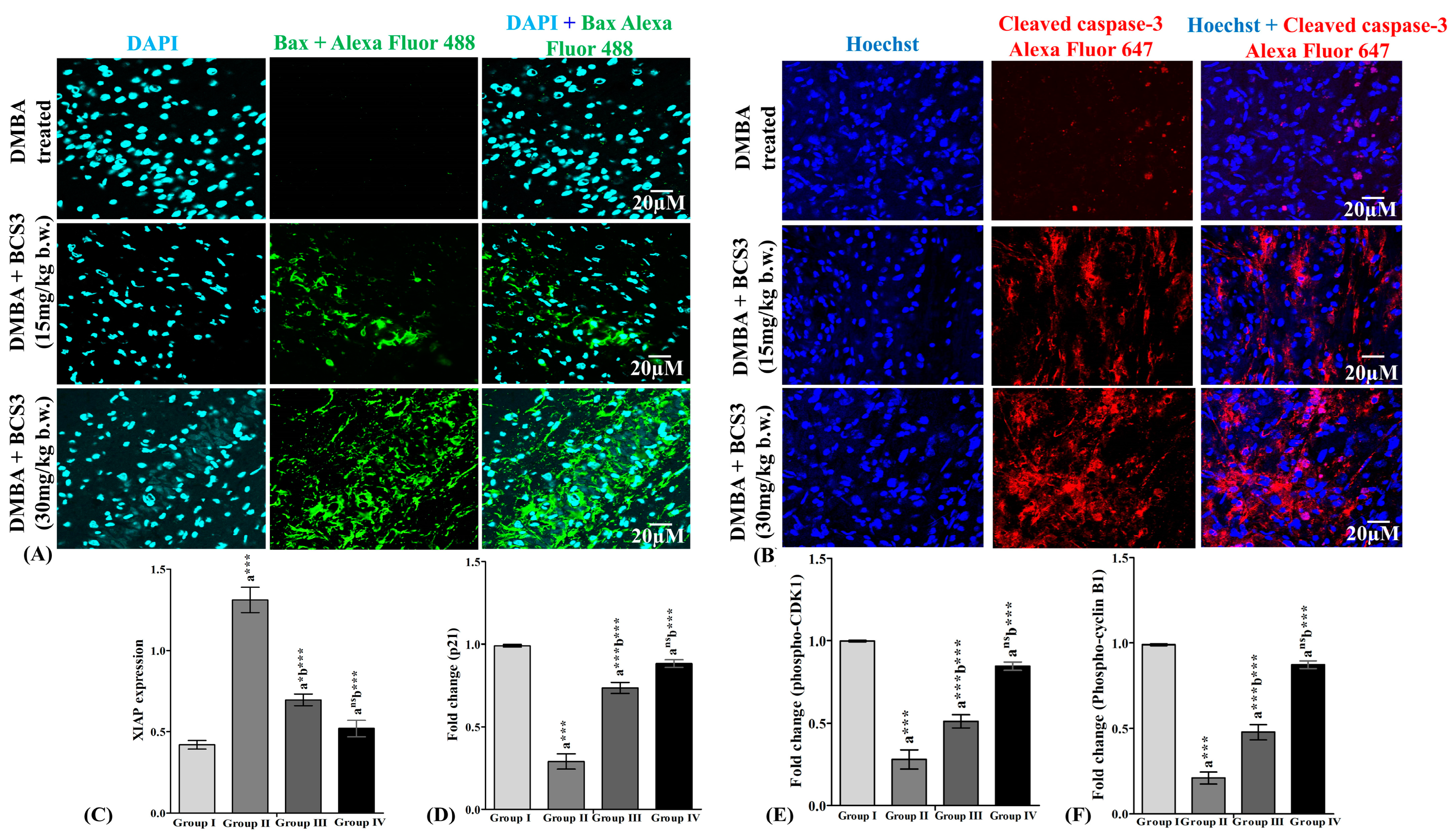 Pharmaceuticals 17 01645 g009