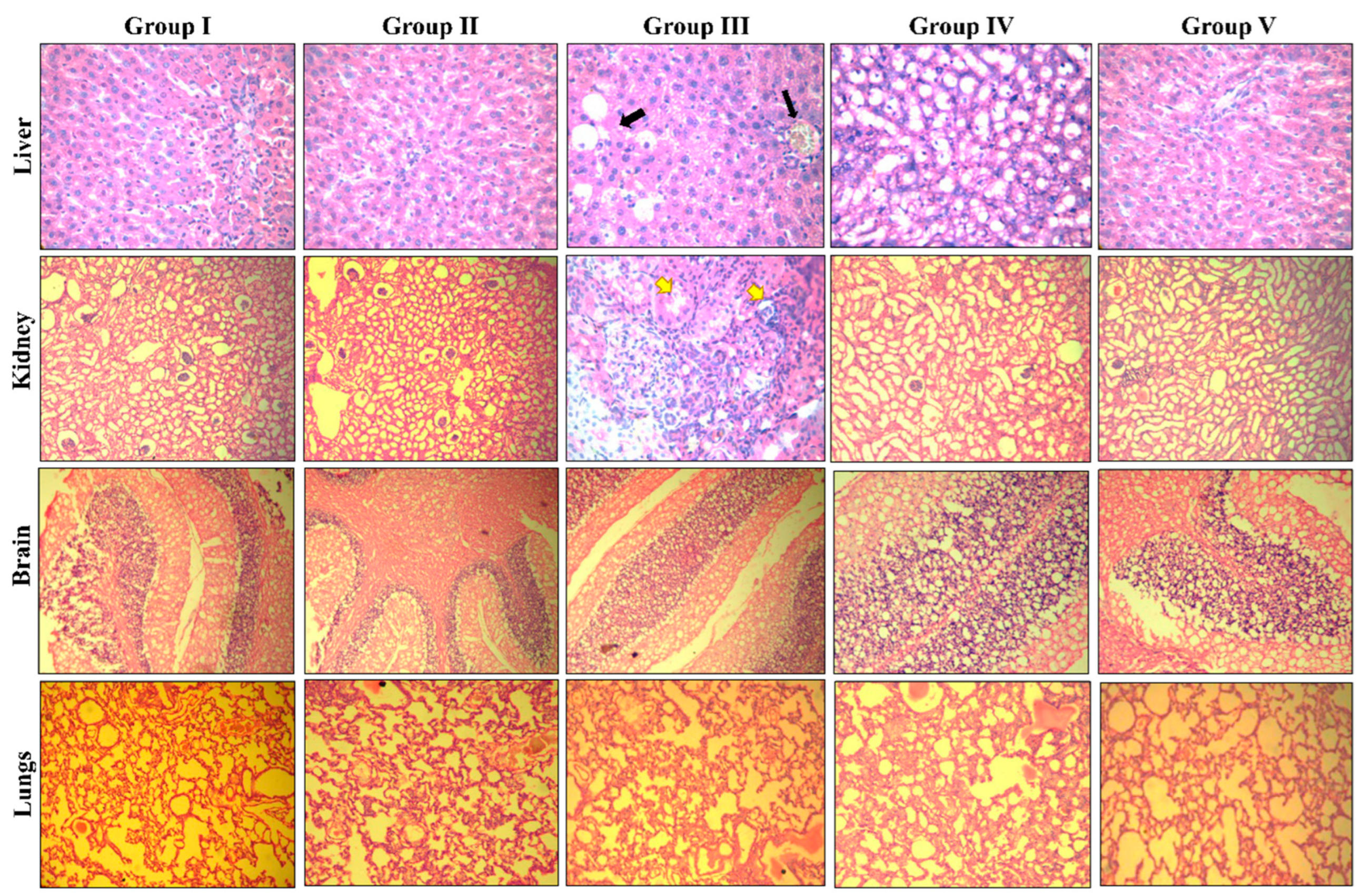 Pharmaceuticals 17 01645 g011