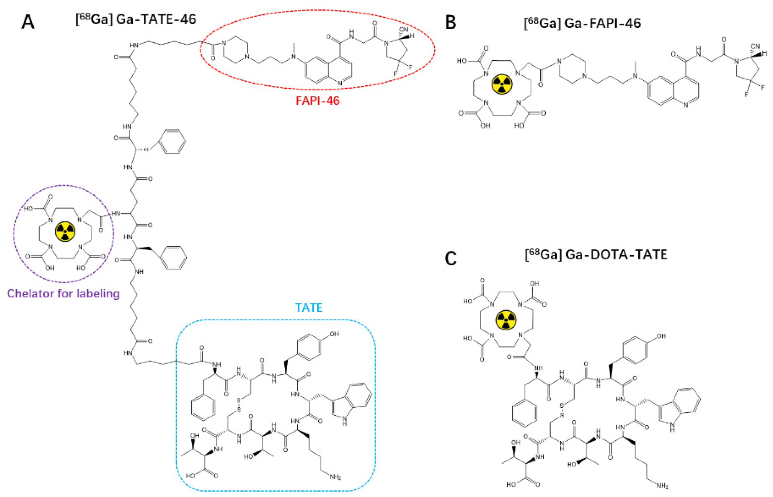 Pharmaceuticals 17 01647 g001