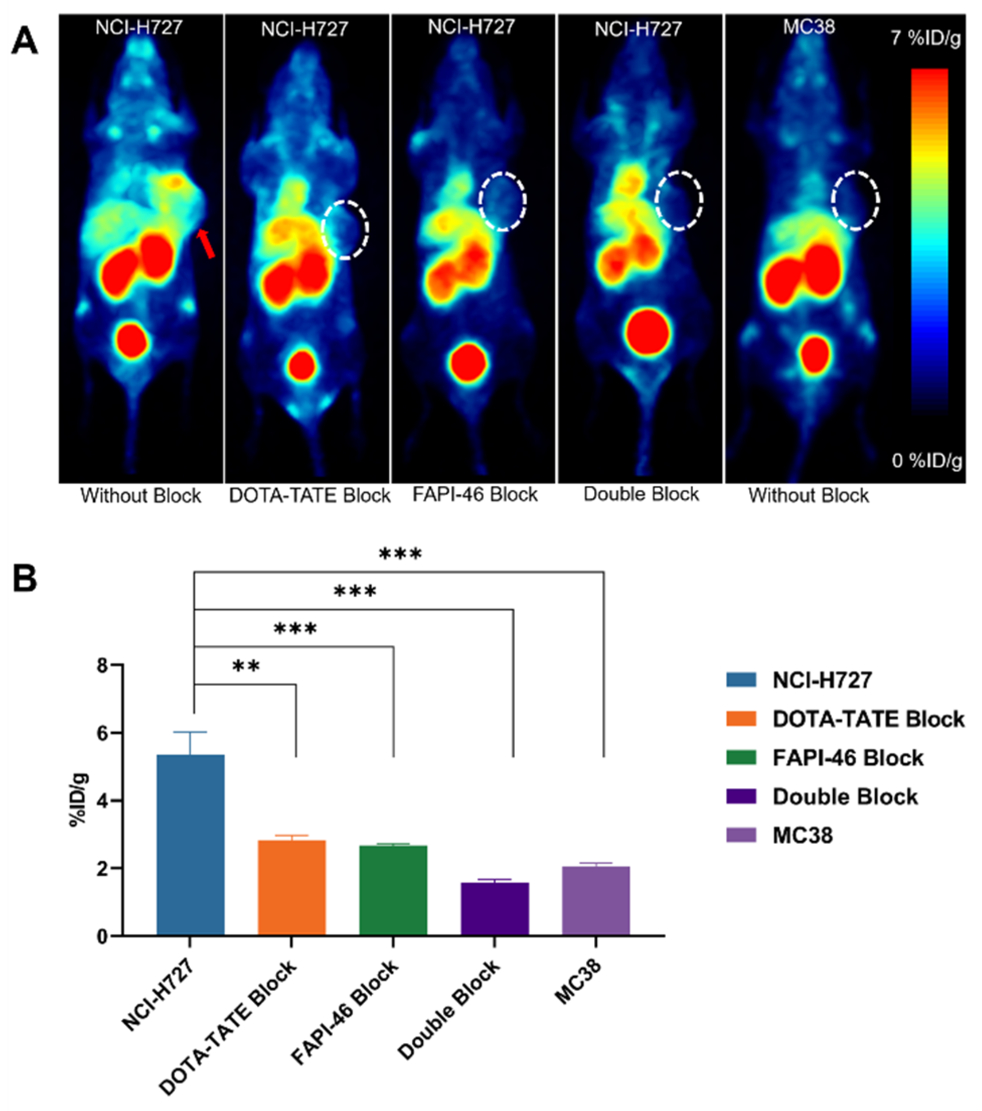 Pharmaceuticals 17 01647 g007