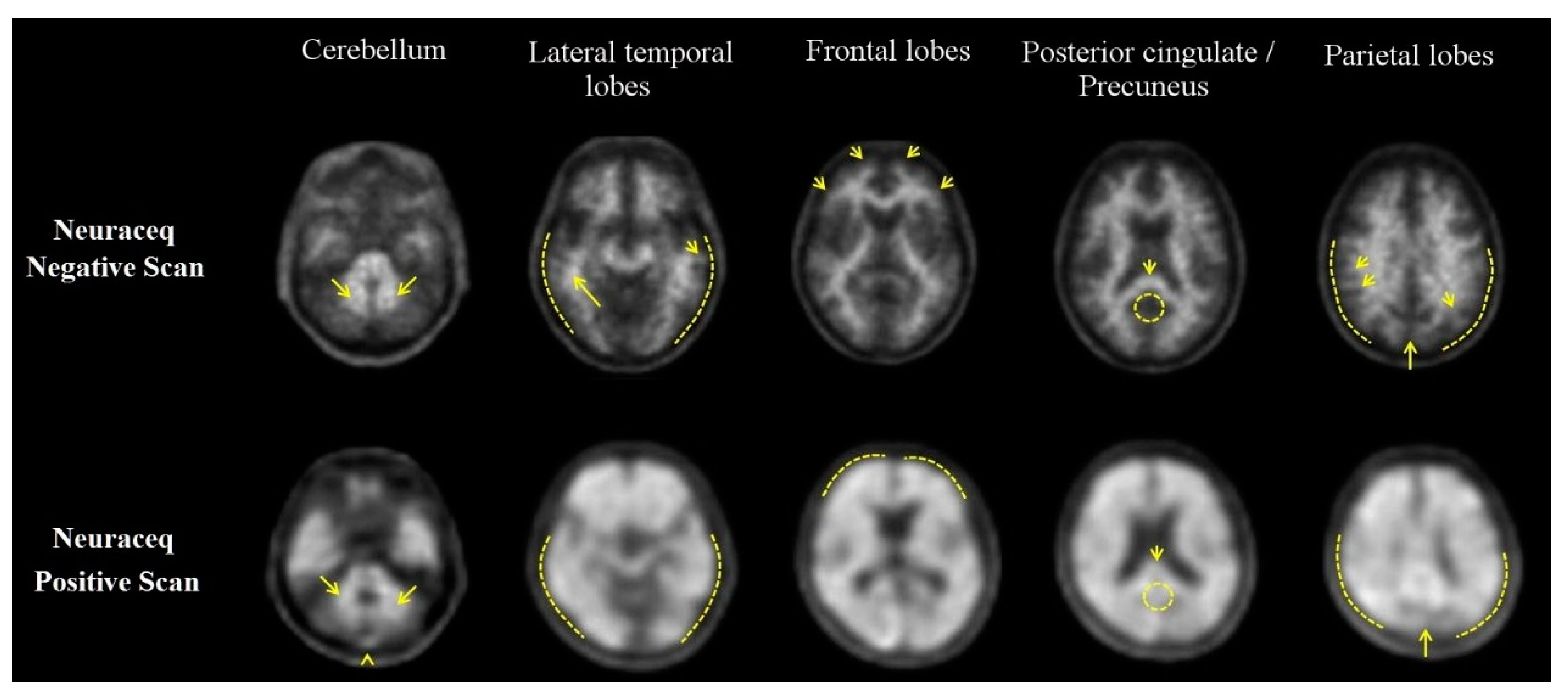 Pharmaceuticals 17 01648 g003