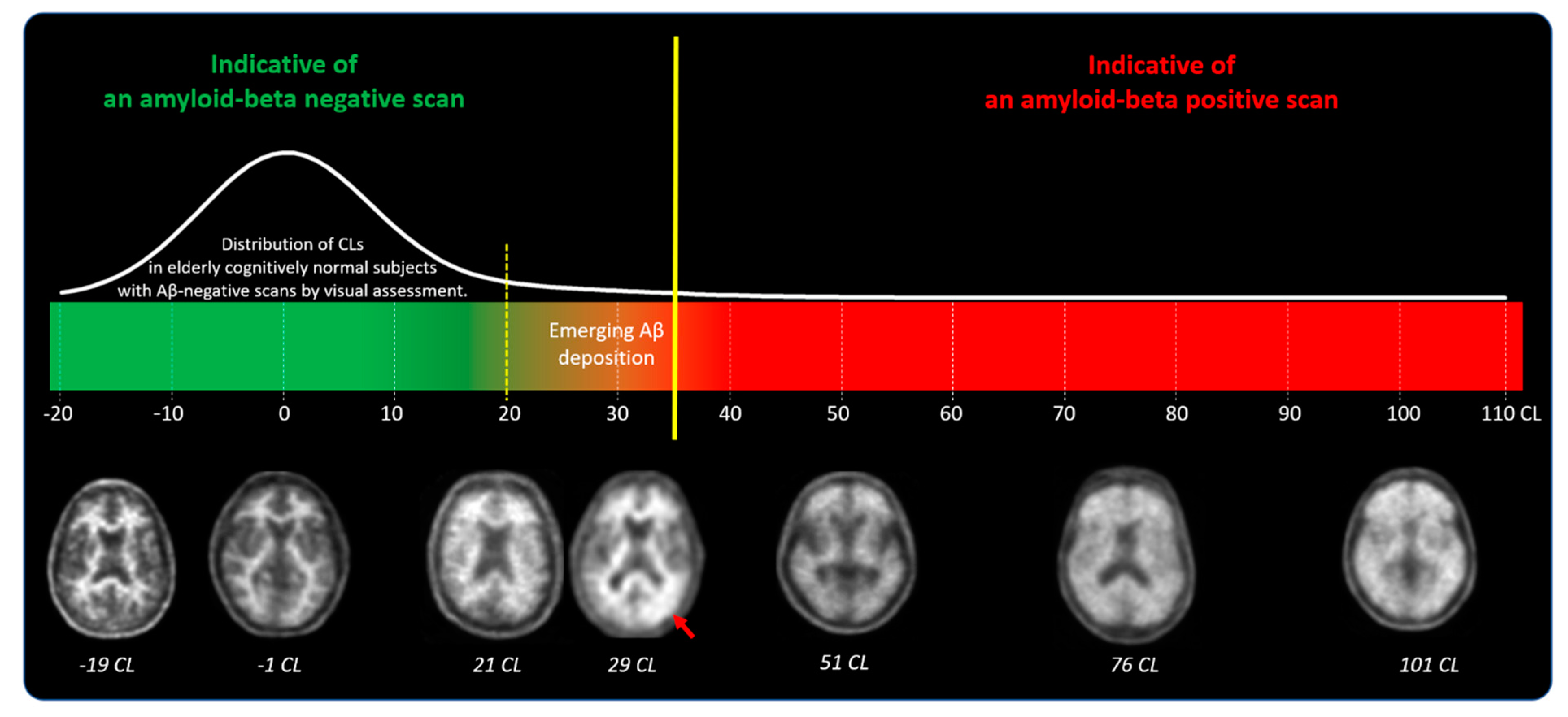 Pharmaceuticals 17 01648 g004