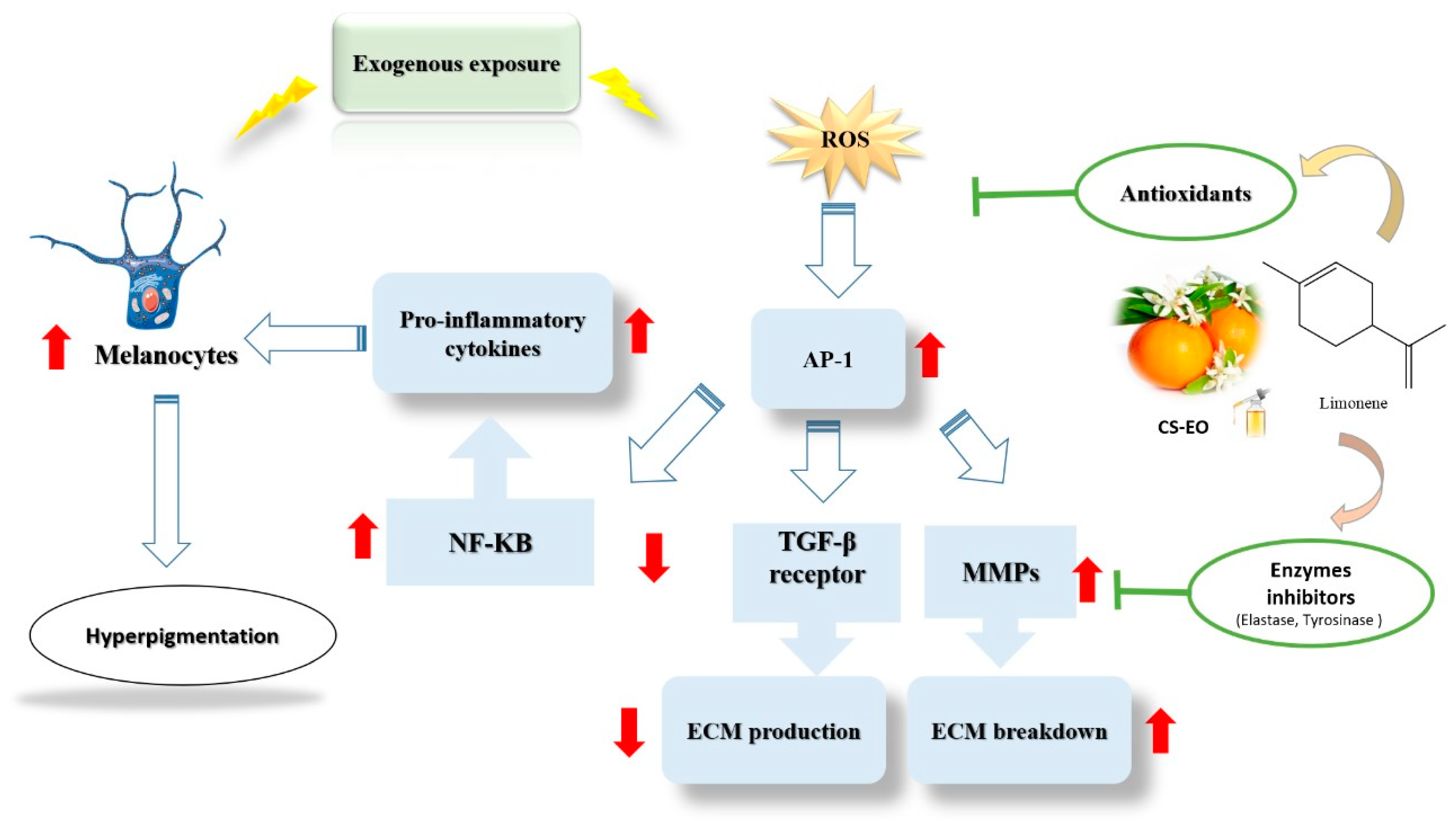 Pharmaceuticals 17 01652 g006 Pharmaceuticals 17 01652 g006