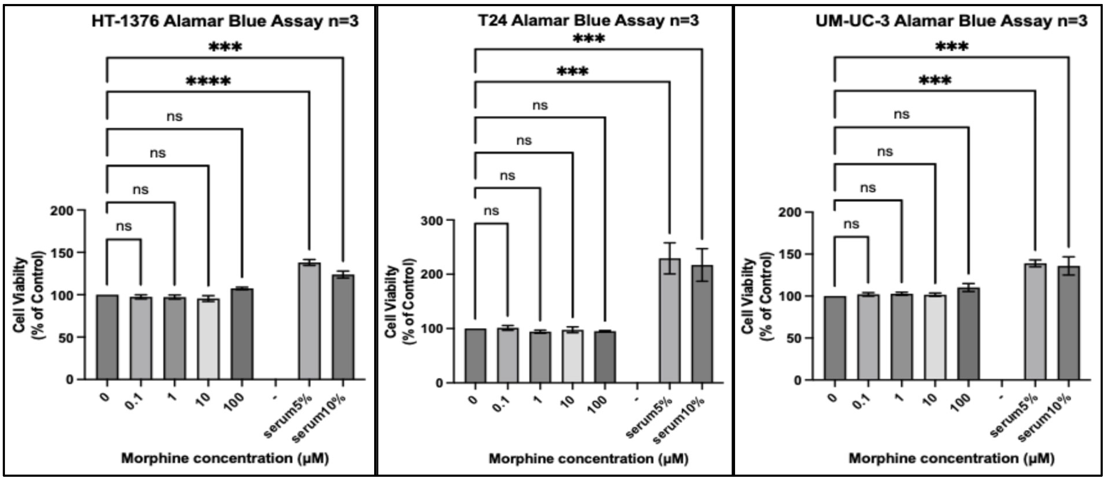 Pharmaceuticals 17 01656 g002