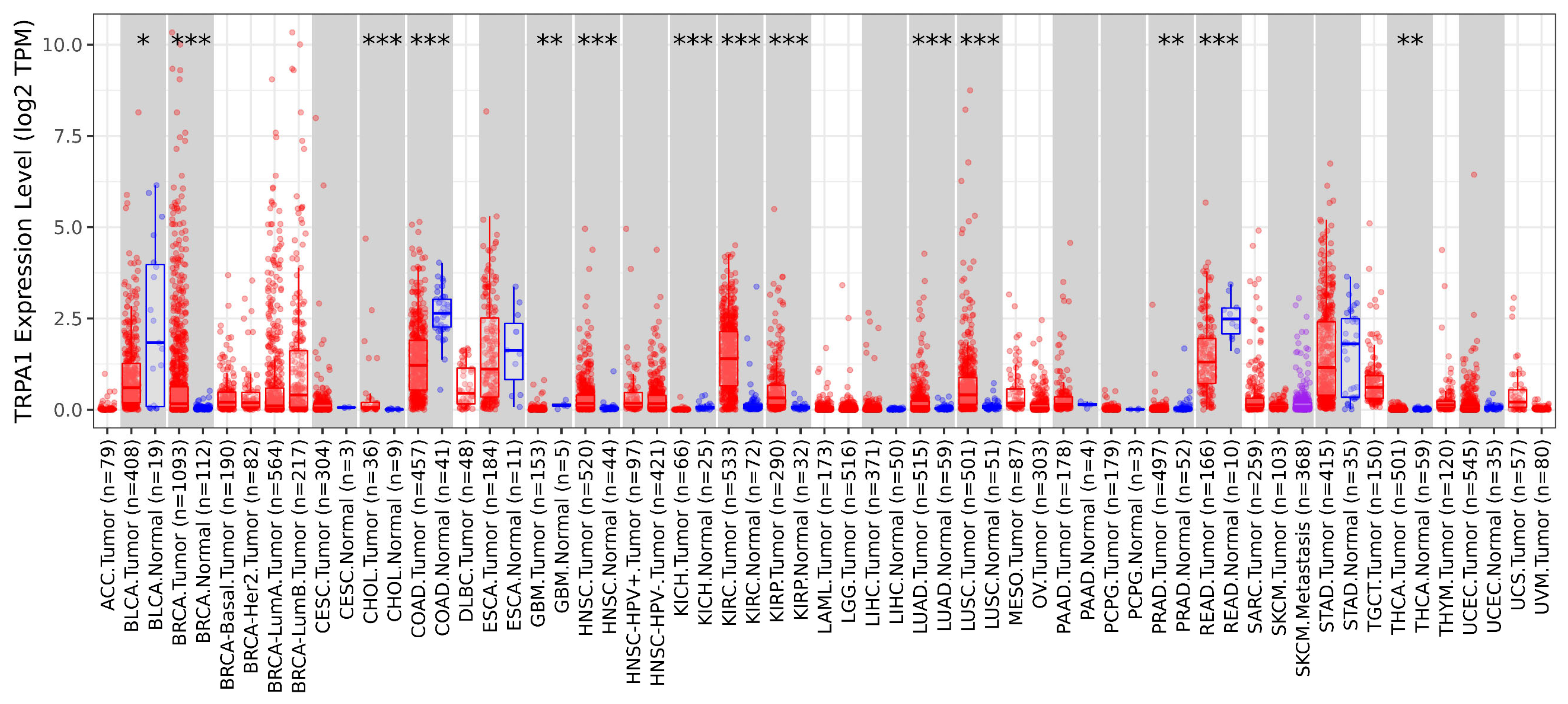 Pharmaceuticals 17 01657 g001