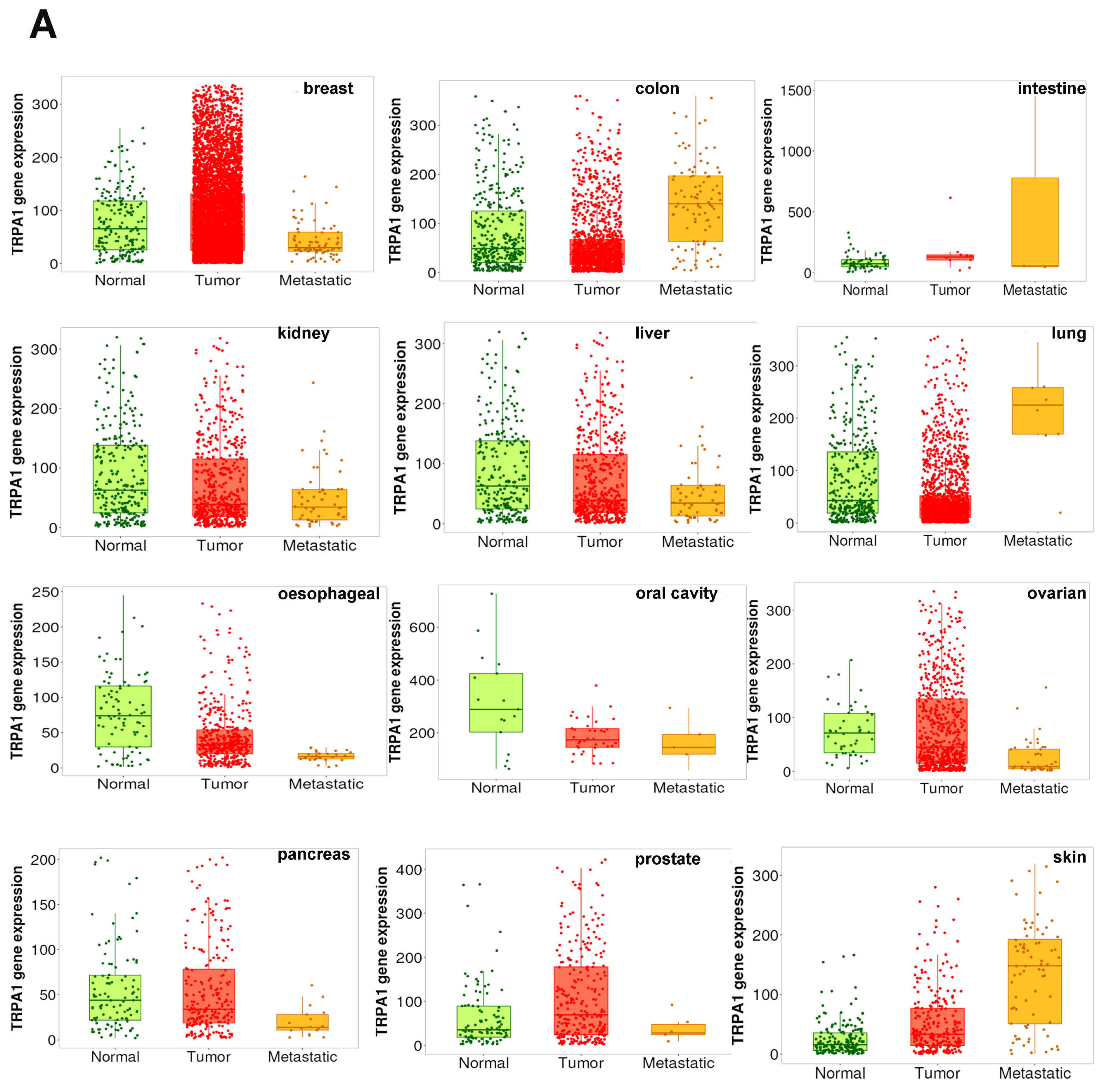 Pharmaceuticals 17 01657 g004a