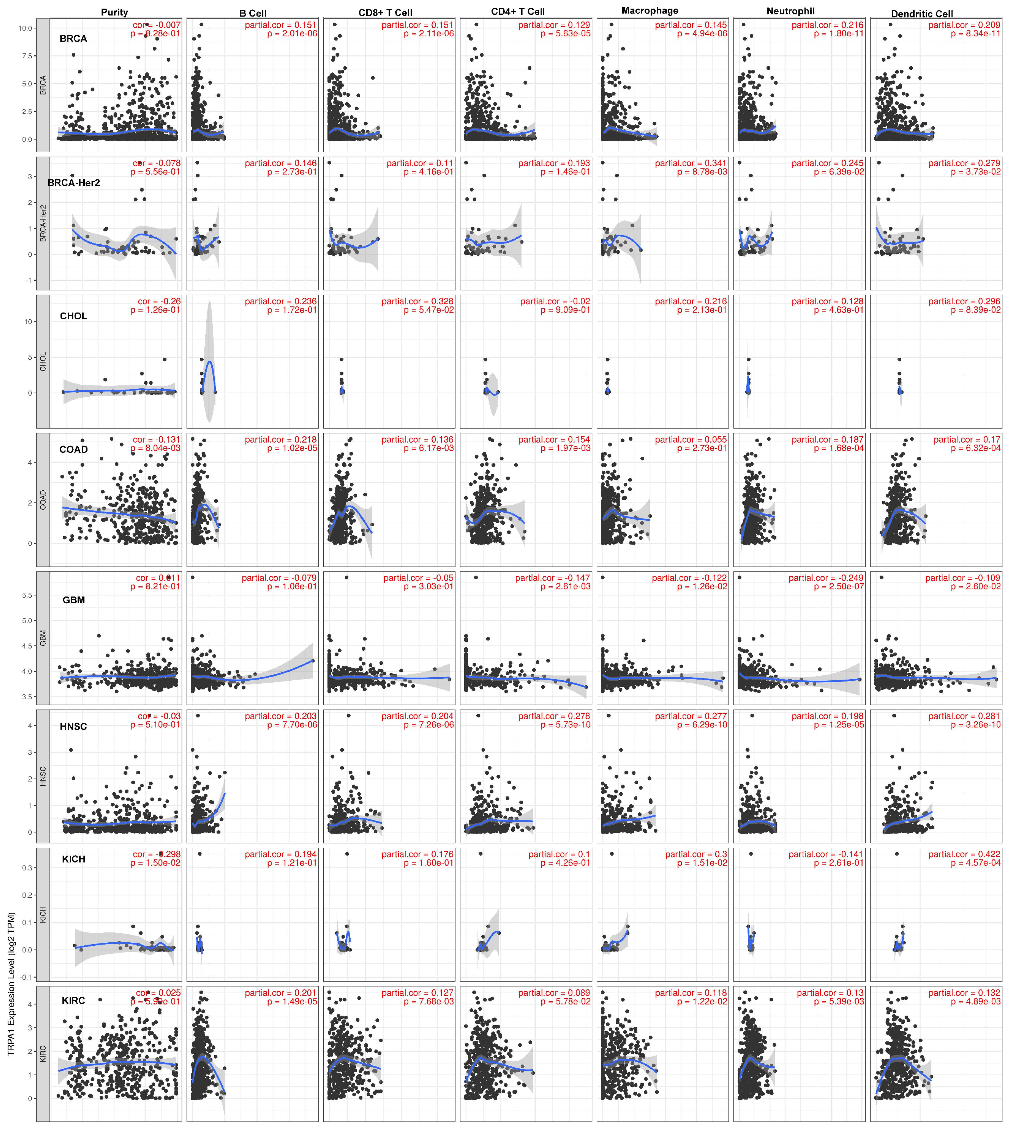 Pharmaceuticals 17 01657 g005a