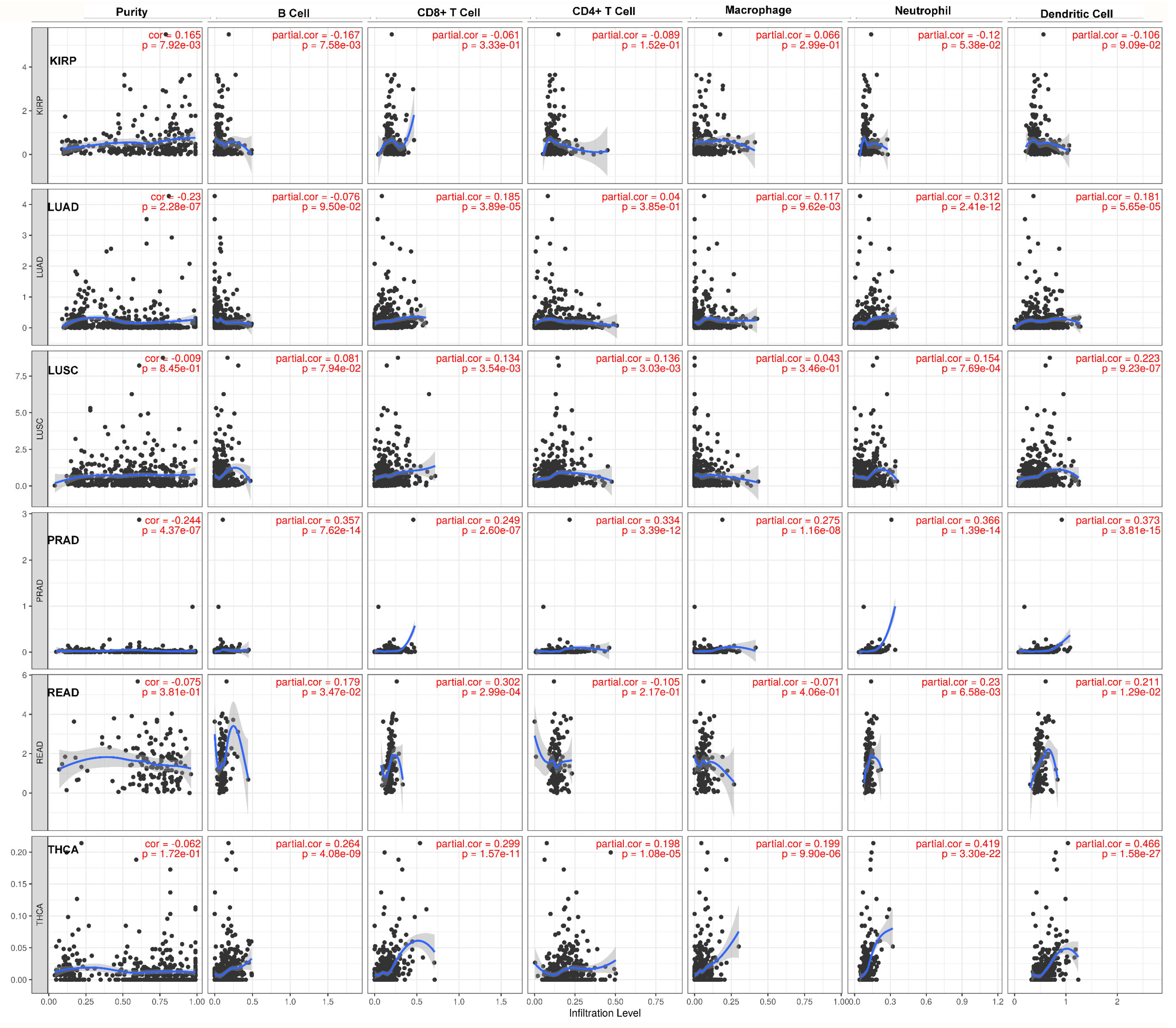 Pharmaceuticals 17 01657 g005b