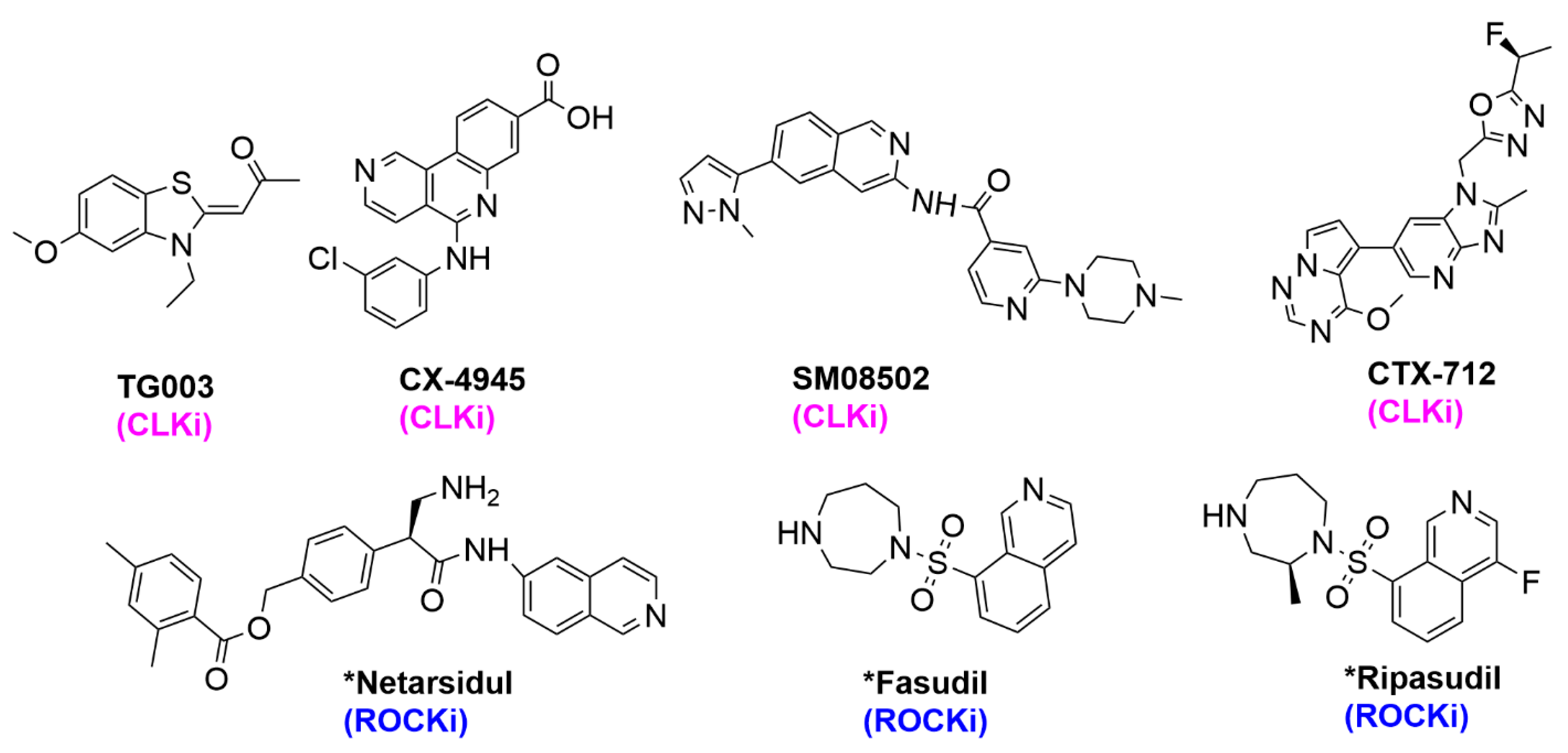 Pharmaceuticals 17 01660 g004 Pharmaceuticals 17 01660 g004