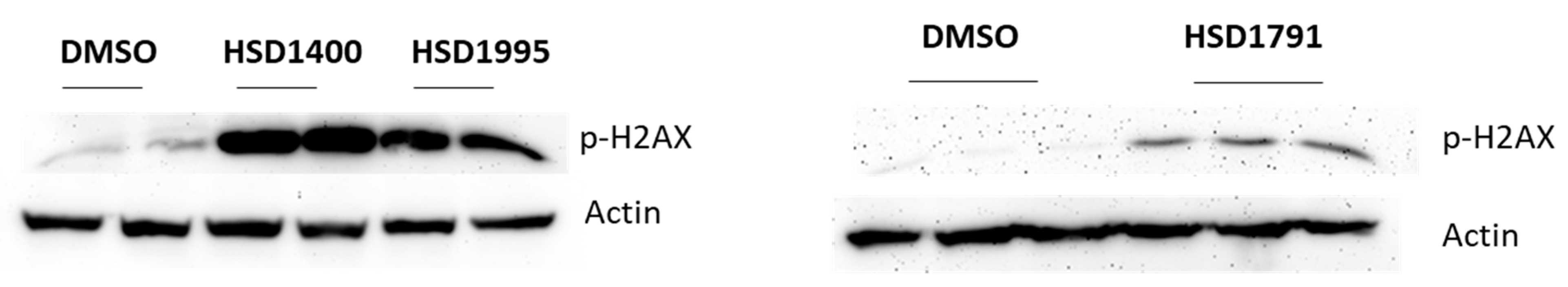 Pharmaceuticals 17 01660 g006 Pharmaceuticals 17 01660 g006