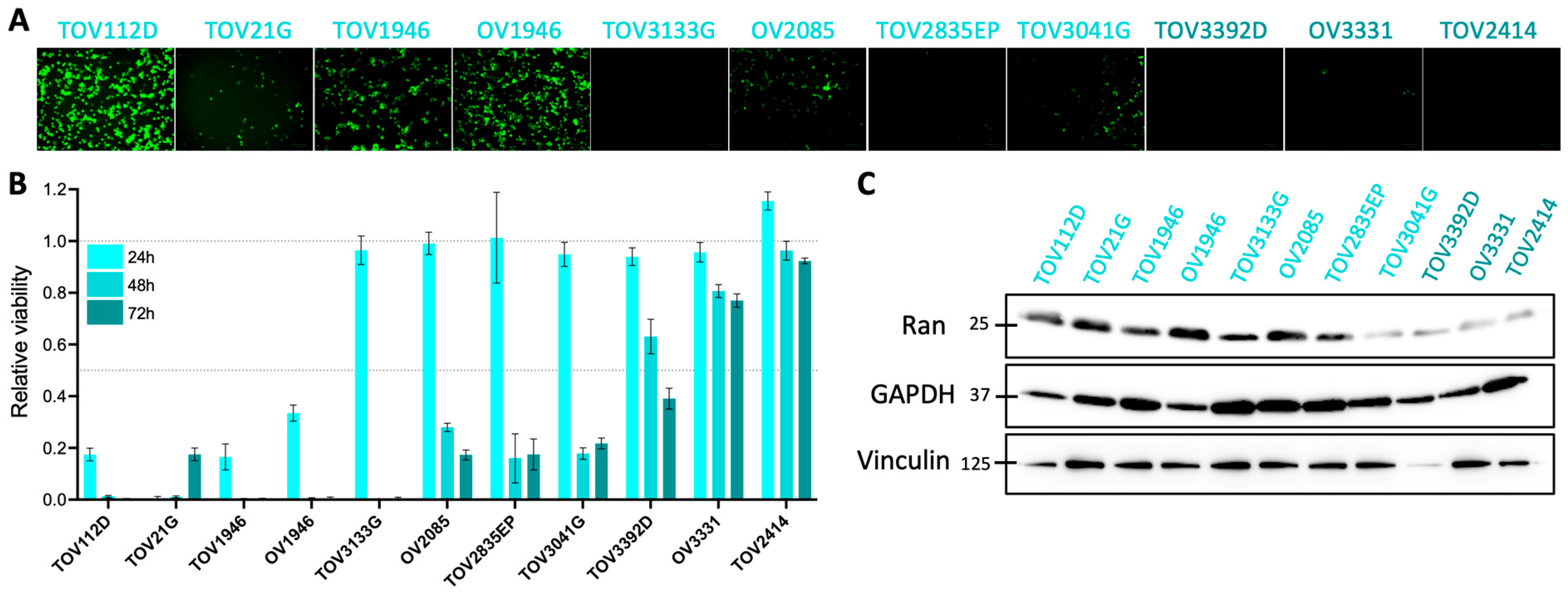 Pharmaceuticals 17 01662 g001