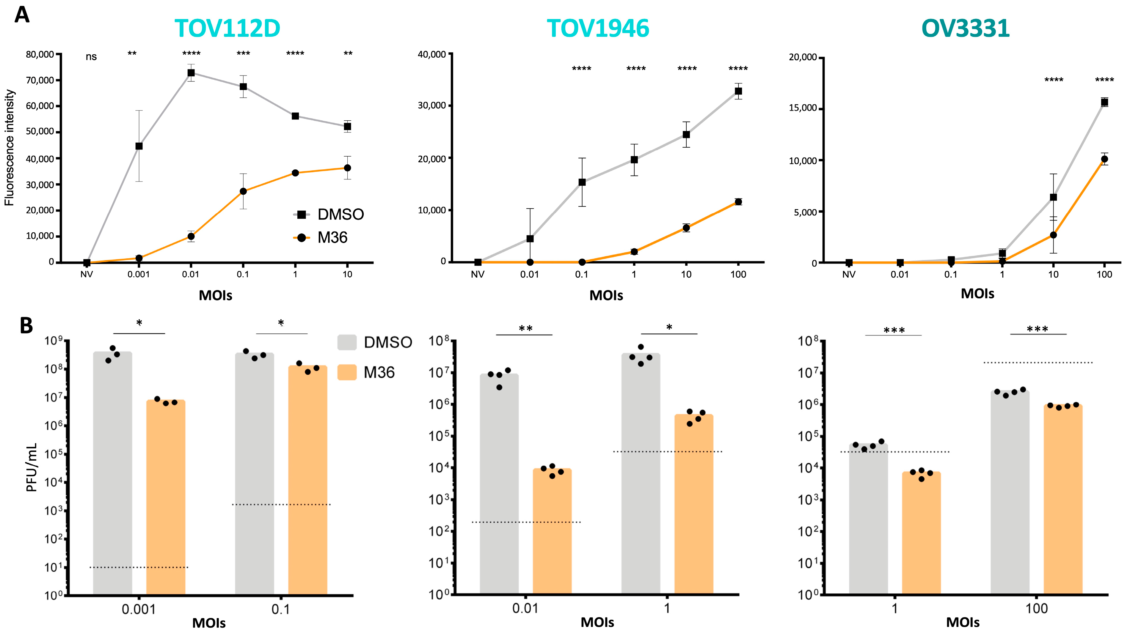 Pharmaceuticals 17 01662 g004