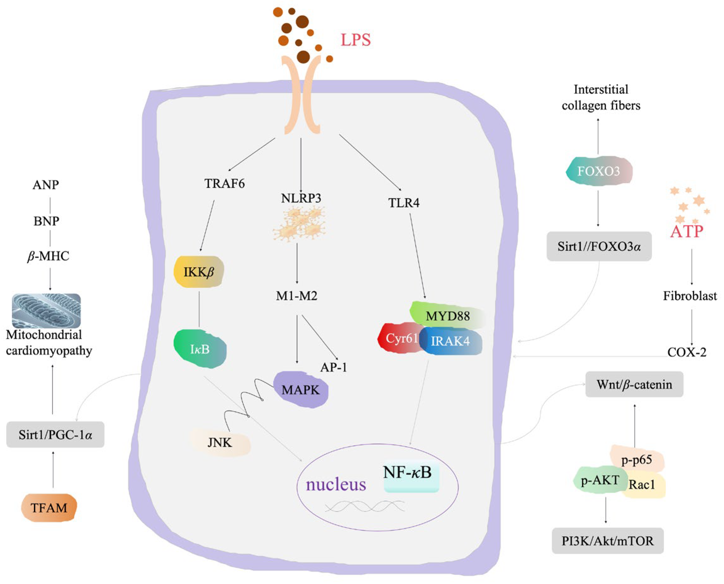 Pharmaceuticals 17 01665 g003