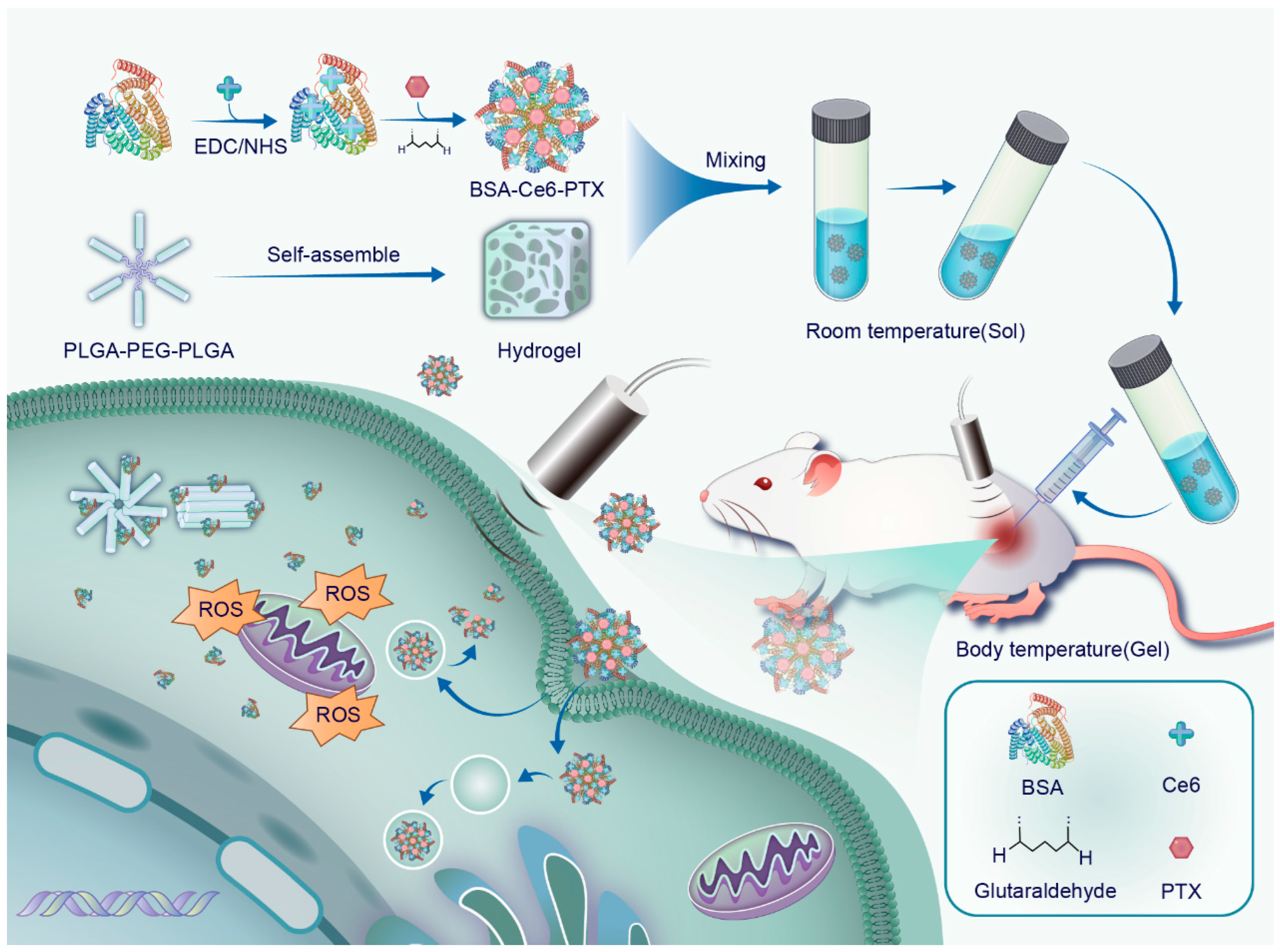 Pharmaceuticals 17 01666 g001