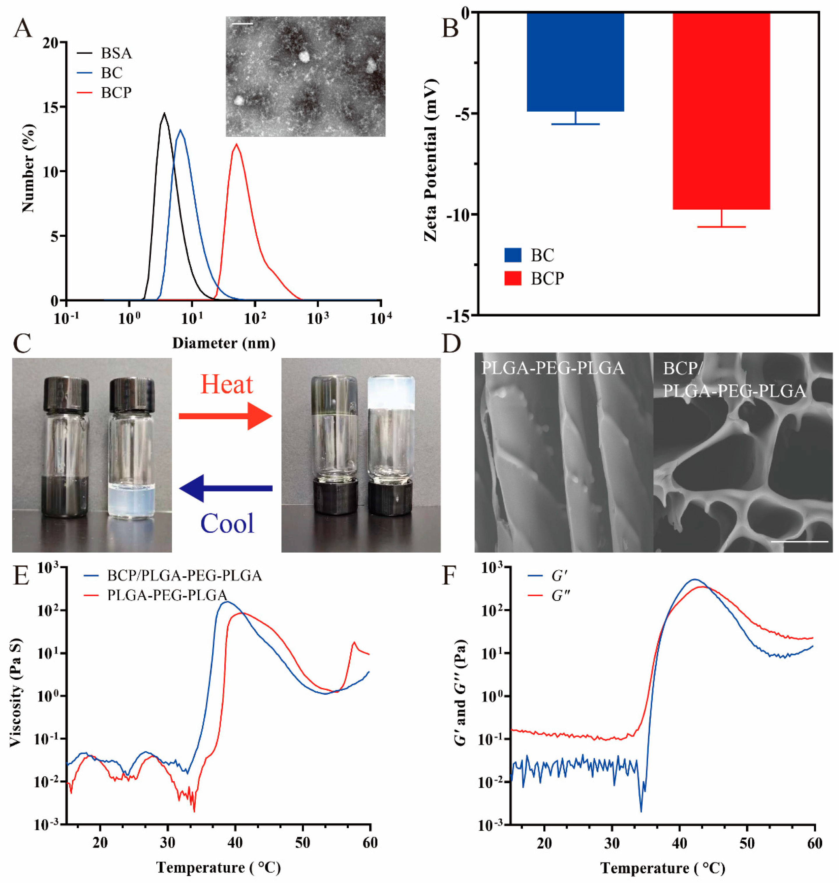 Pharmaceuticals 17 01666 g002