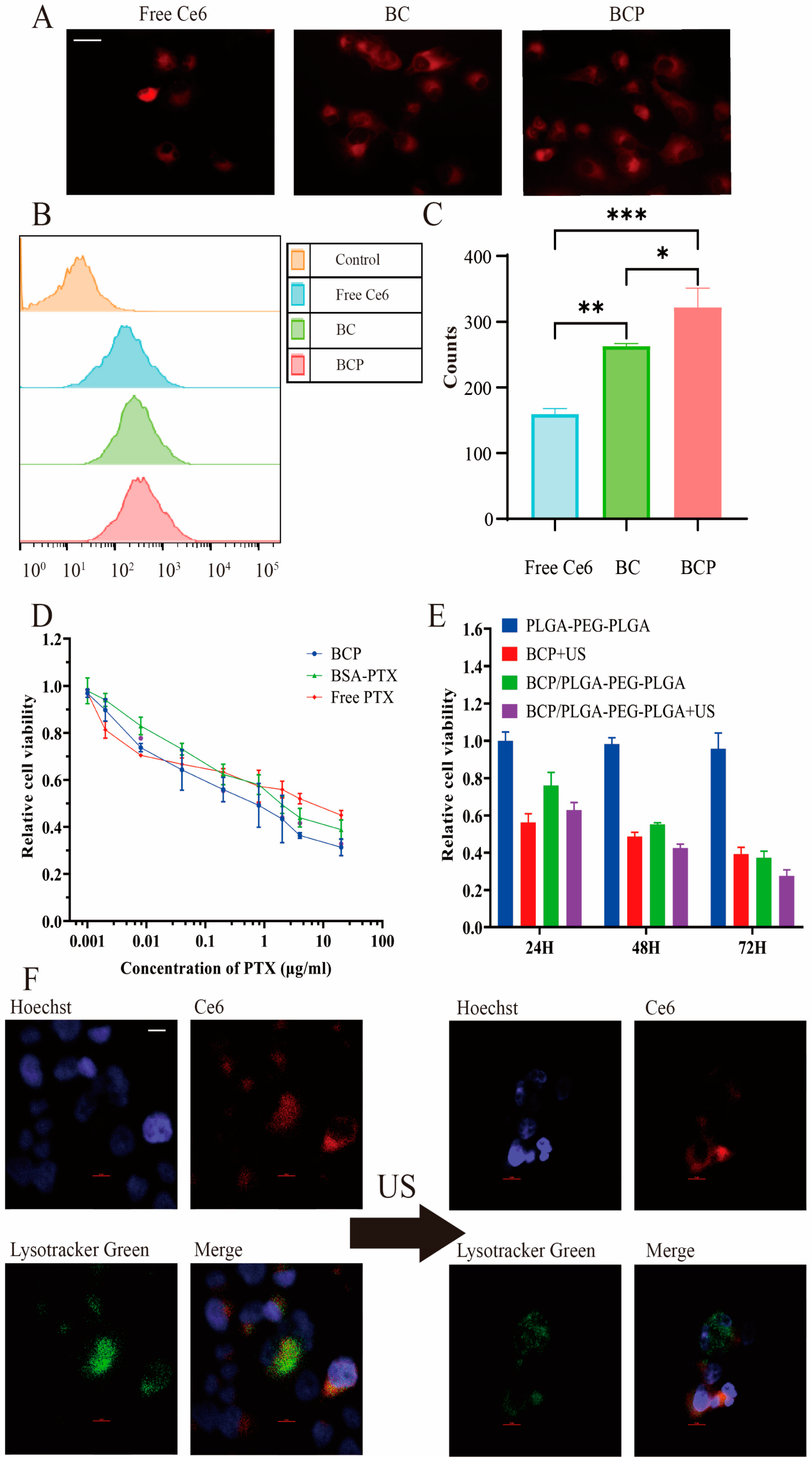 Pharmaceuticals 17 01666 g004