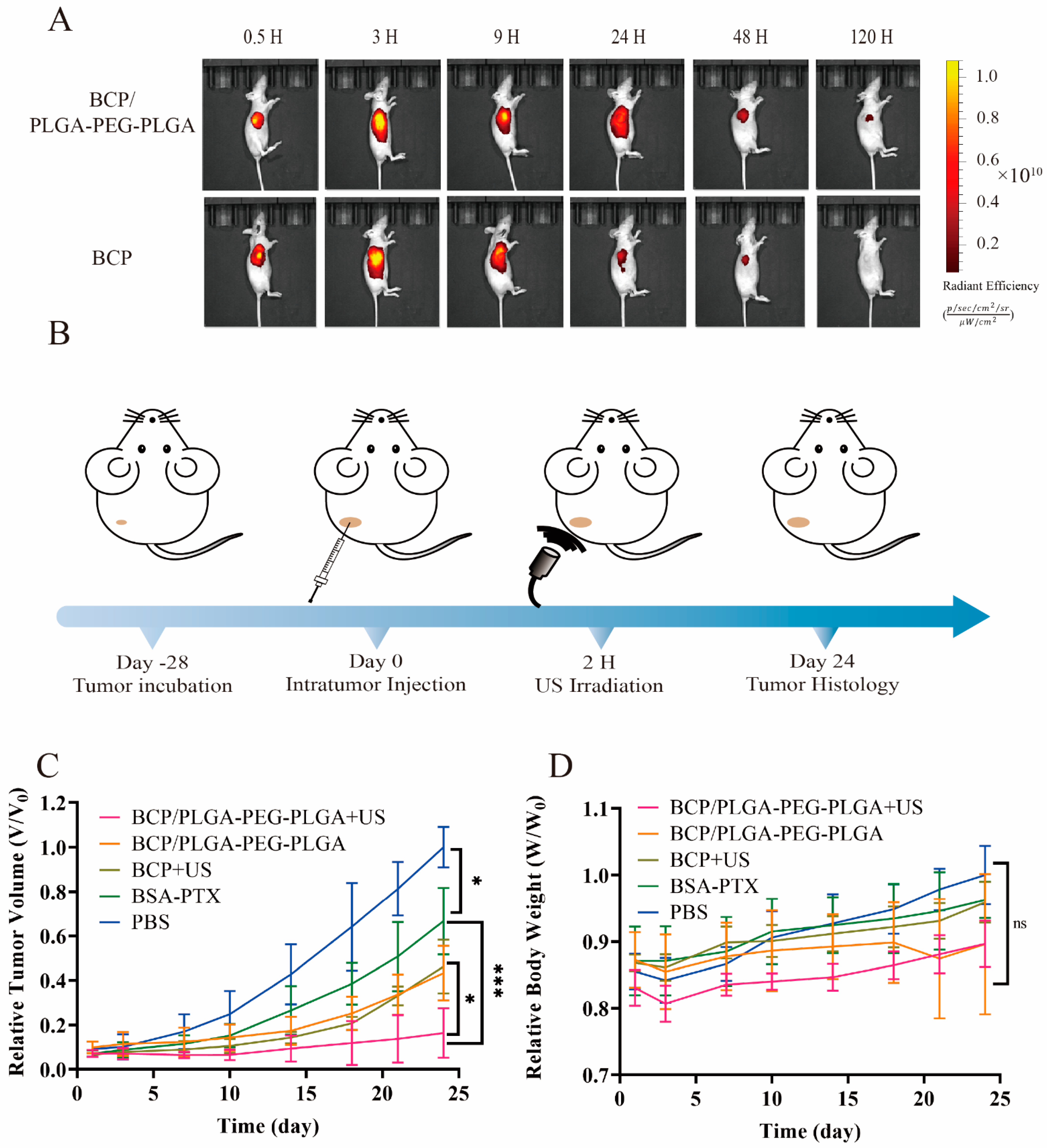 Pharmaceuticals 17 01666 g005