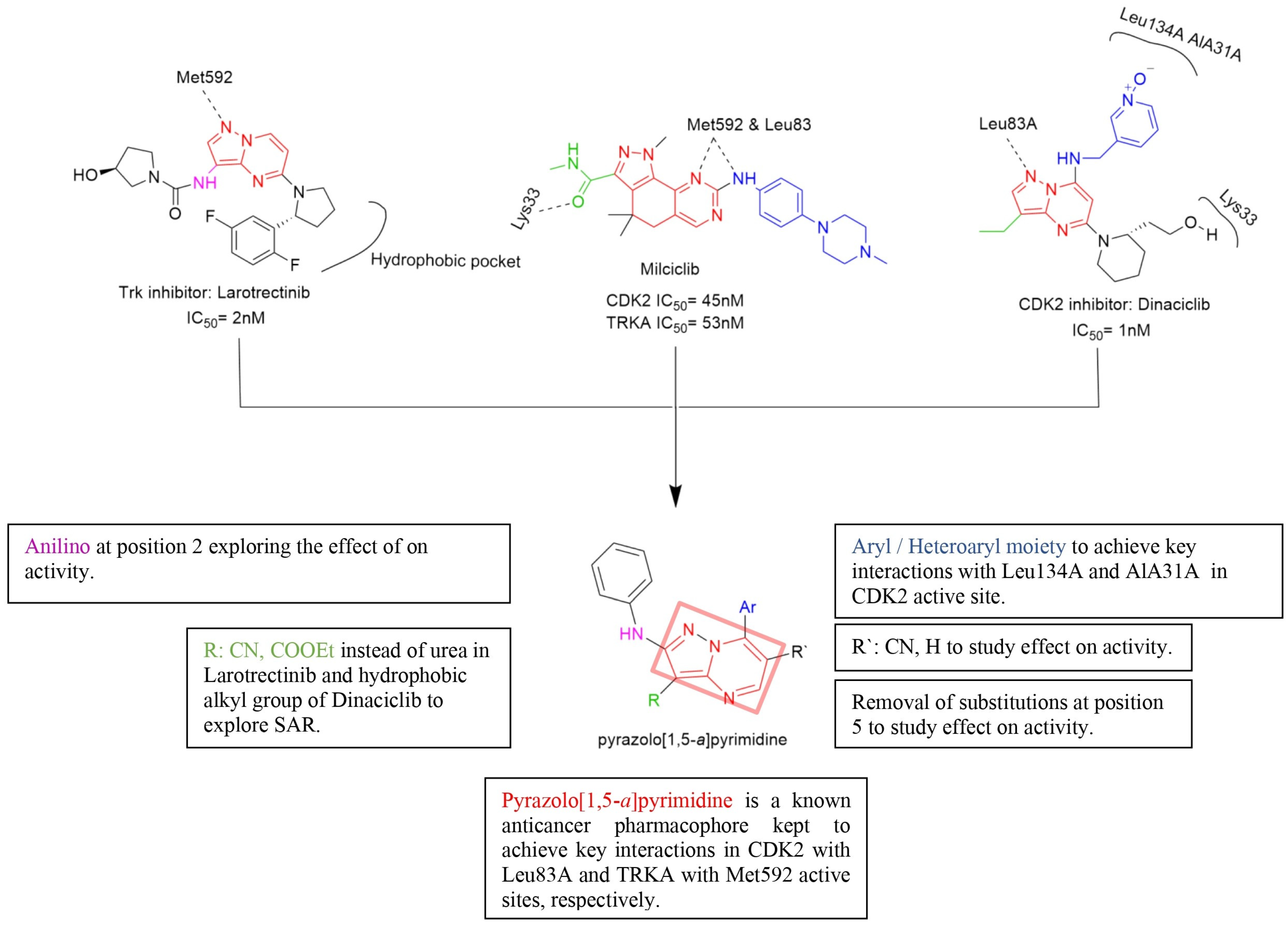 Pharmaceuticals 17 01667 g002