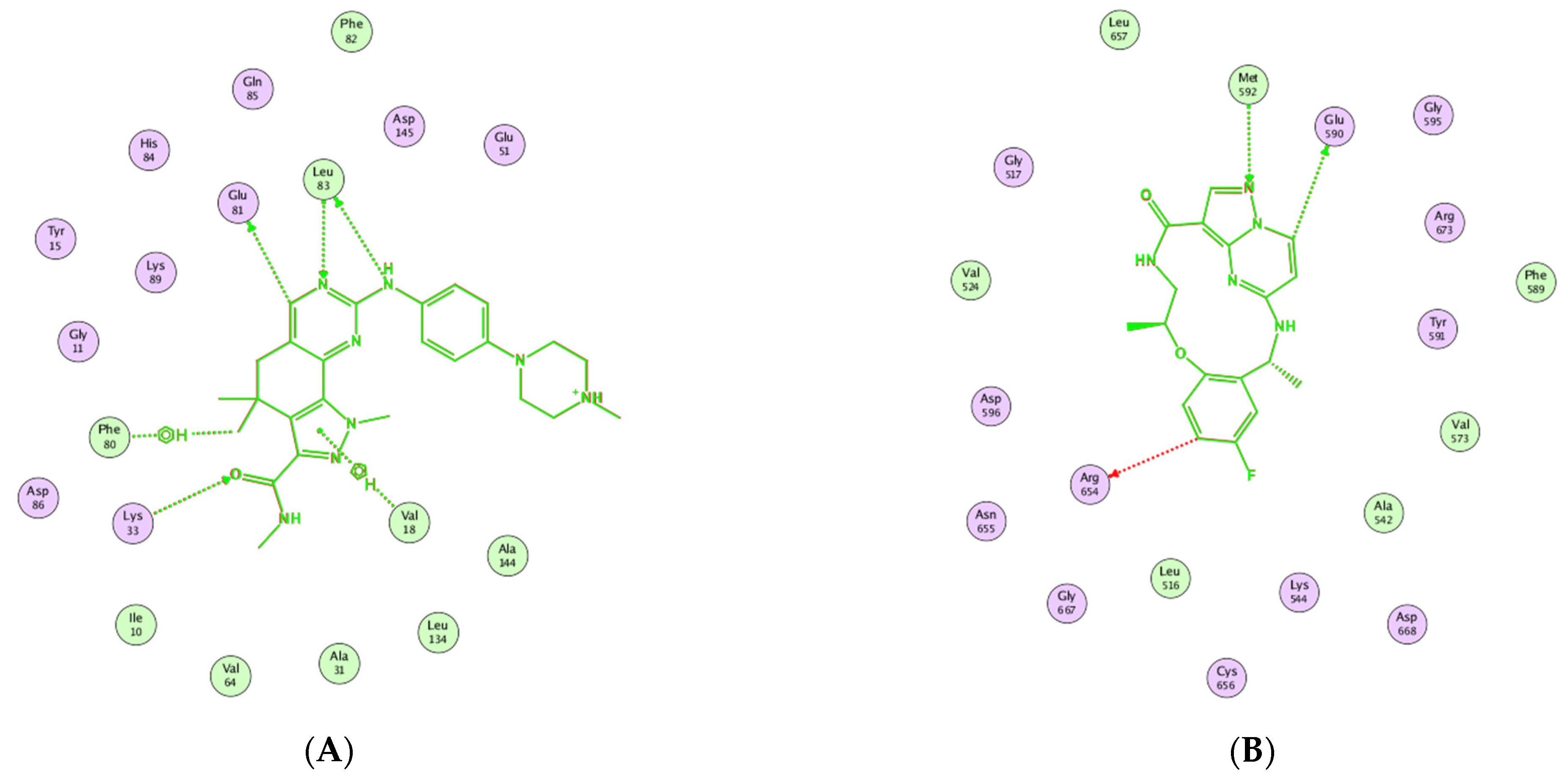 Pharmaceuticals 17 01667 g011
