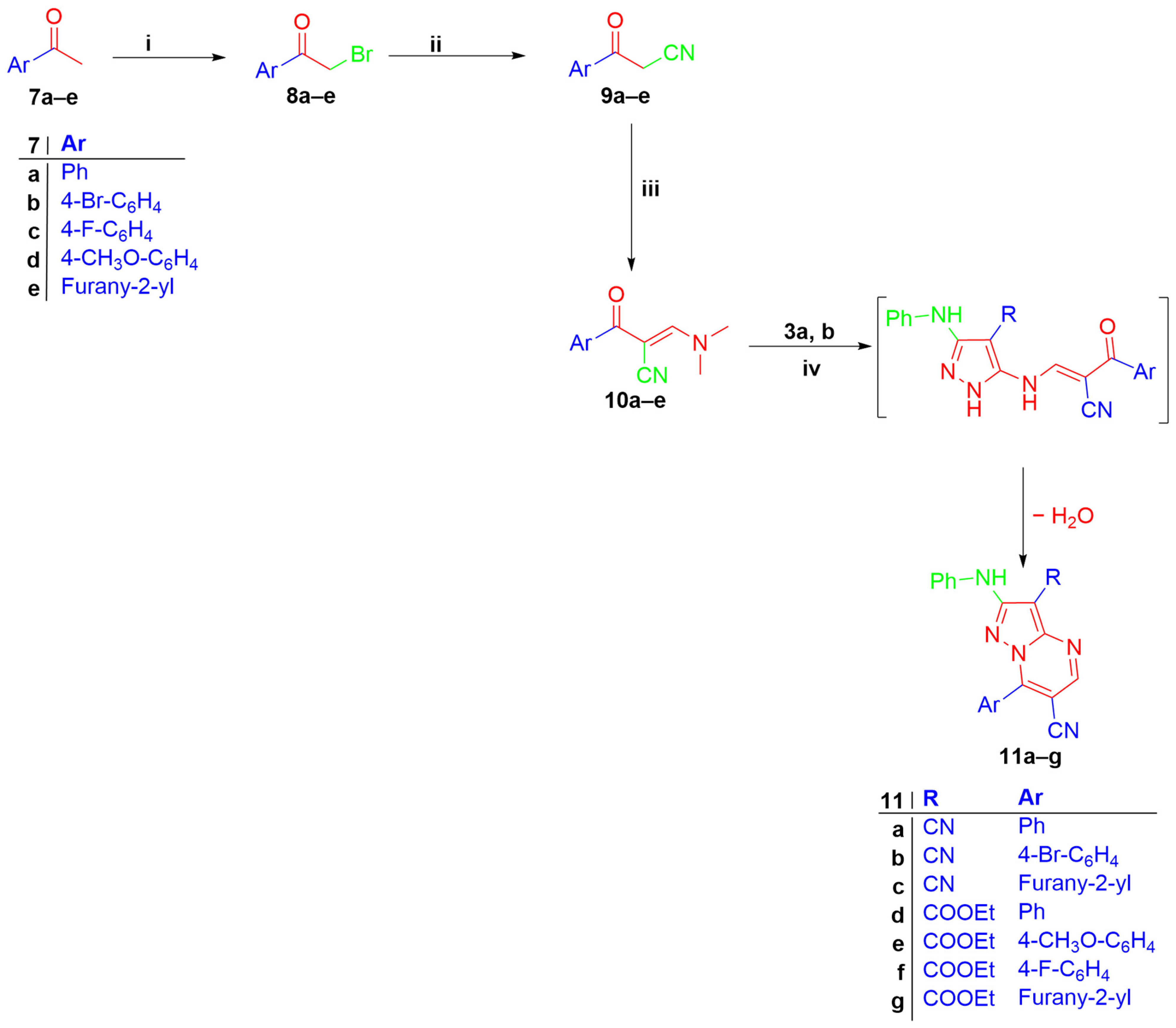 Pharmaceuticals 17 01667 sch002