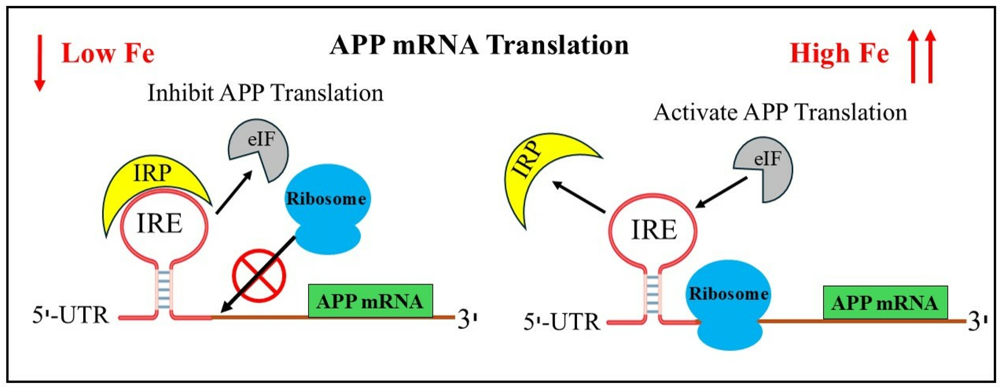 Pharmaceuticals 17 01669 g001