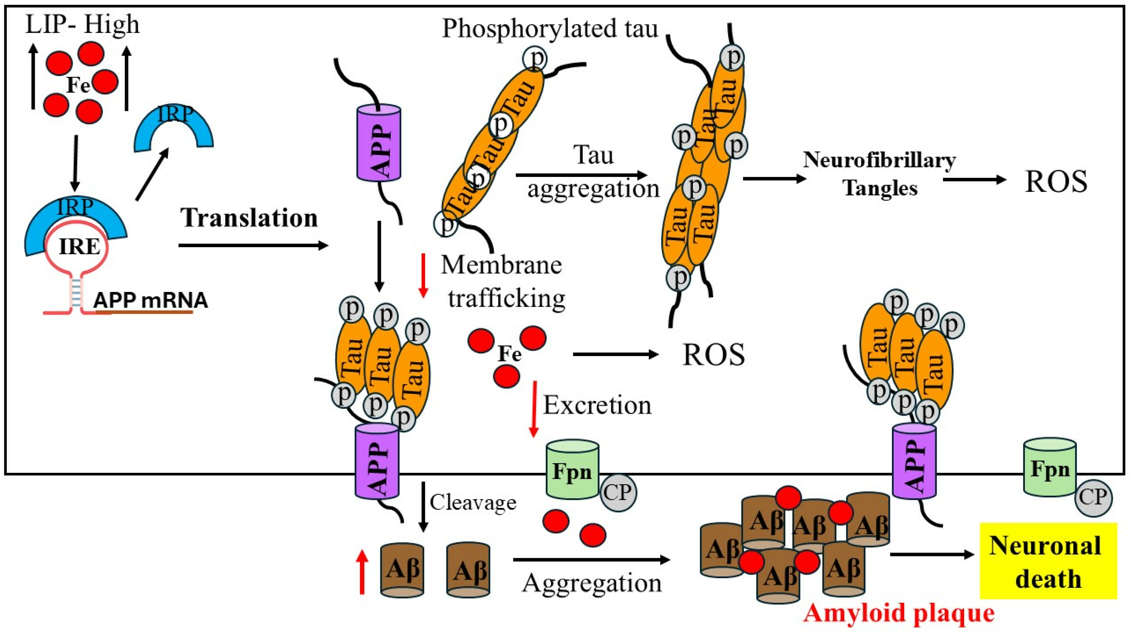 Pharmaceuticals 17 01669 g002