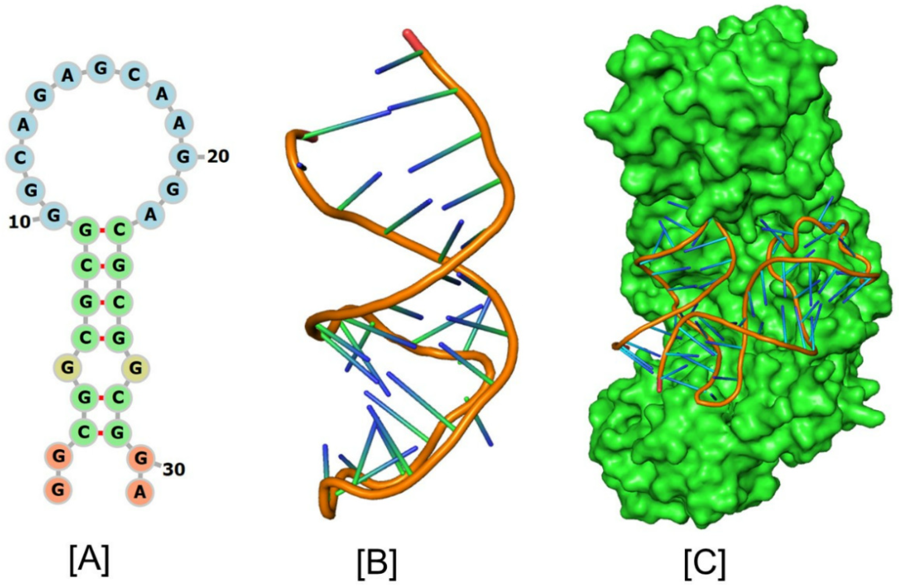 Pharmaceuticals 17 01669 g005