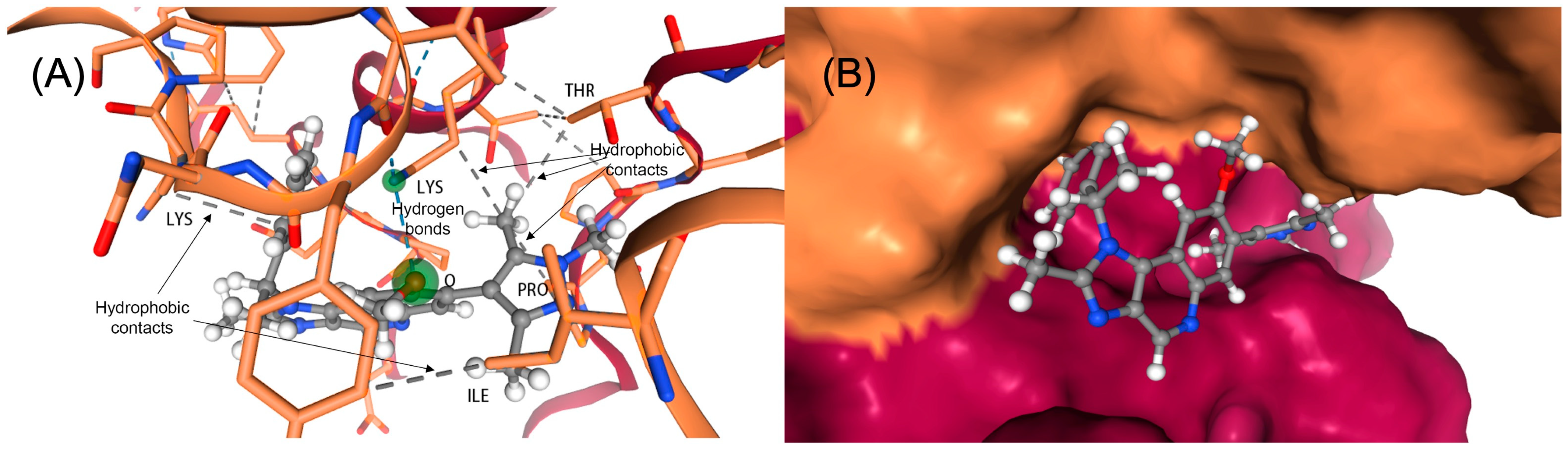 Pharmaceuticals 17 01670 g004