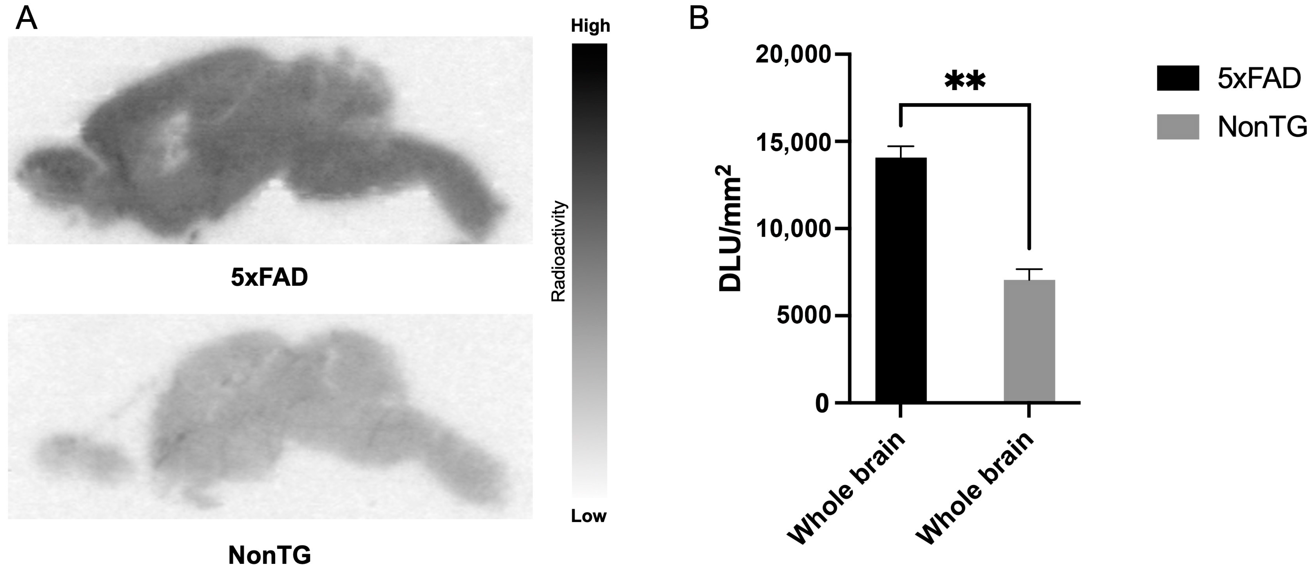 Pharmaceuticals 17 01670 g005