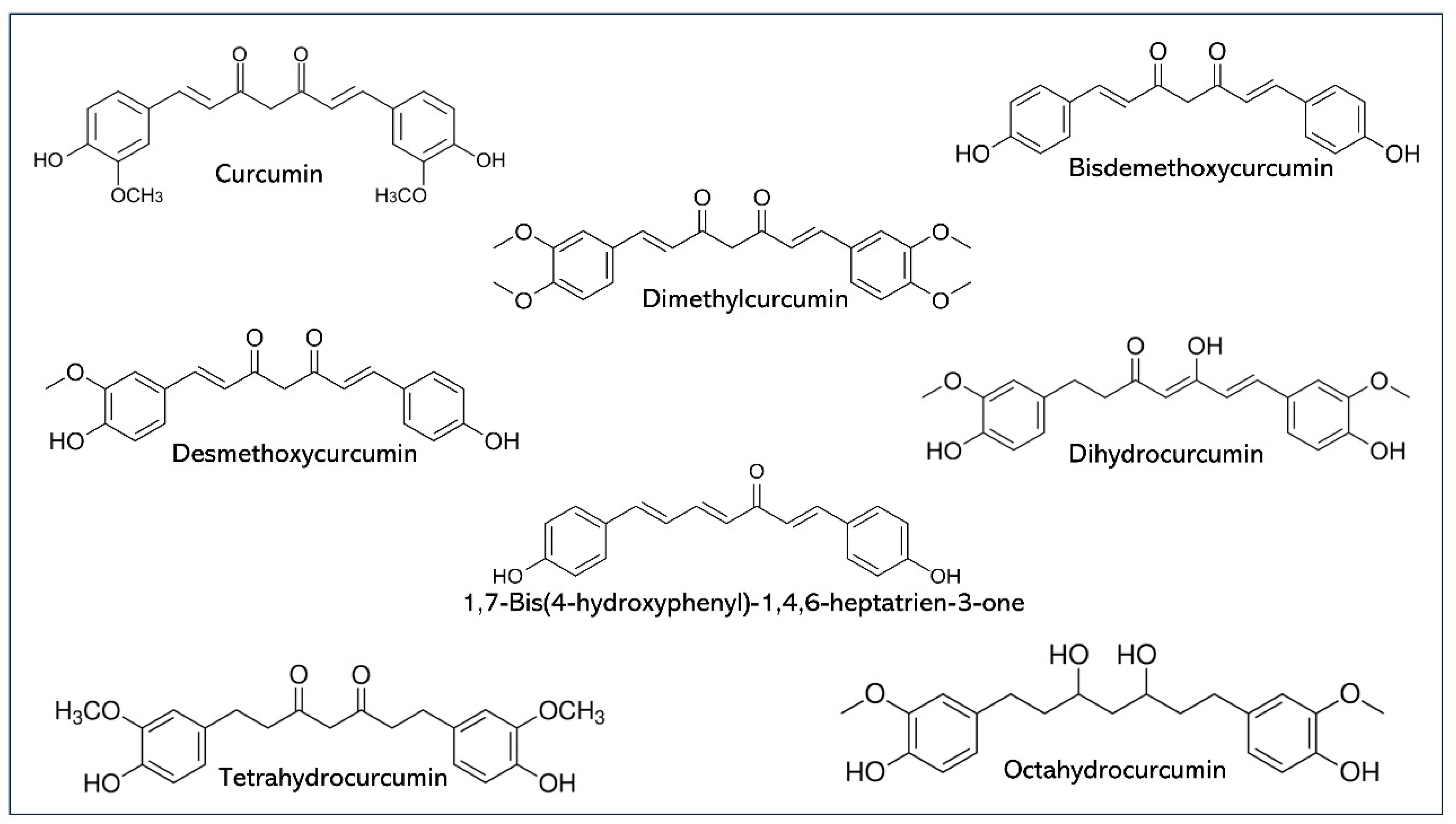 Pharmaceuticals 17 01674 g001
